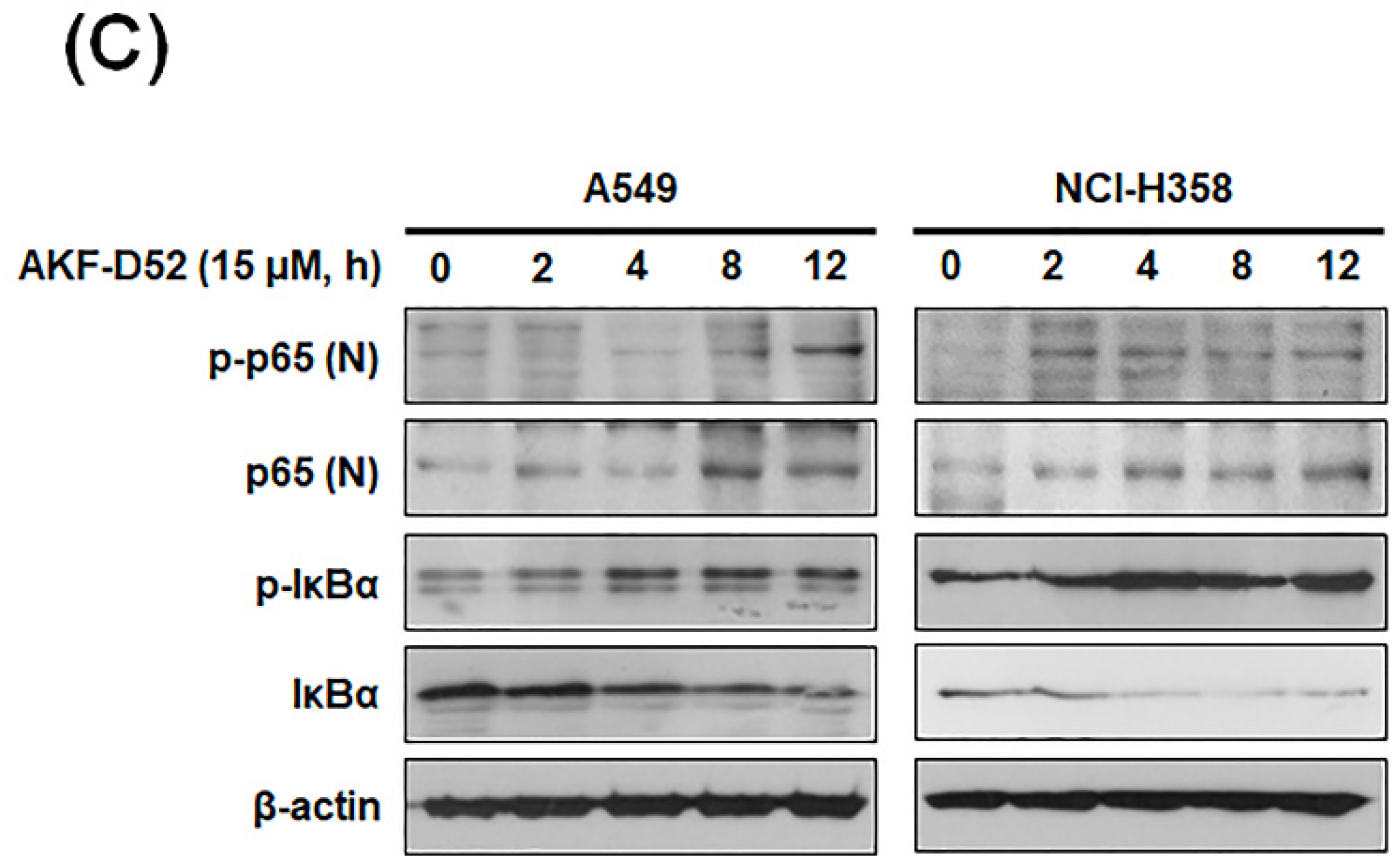 Cancers 13 05849 g004b