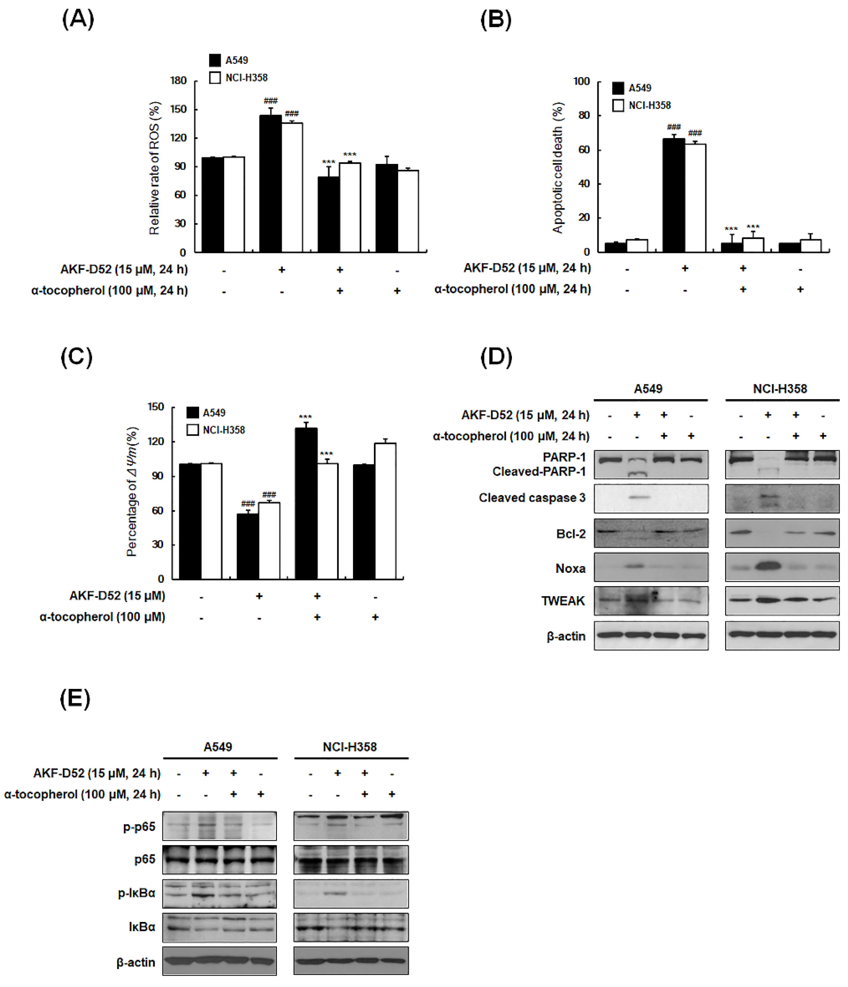 Cancers 13 05849 g006
