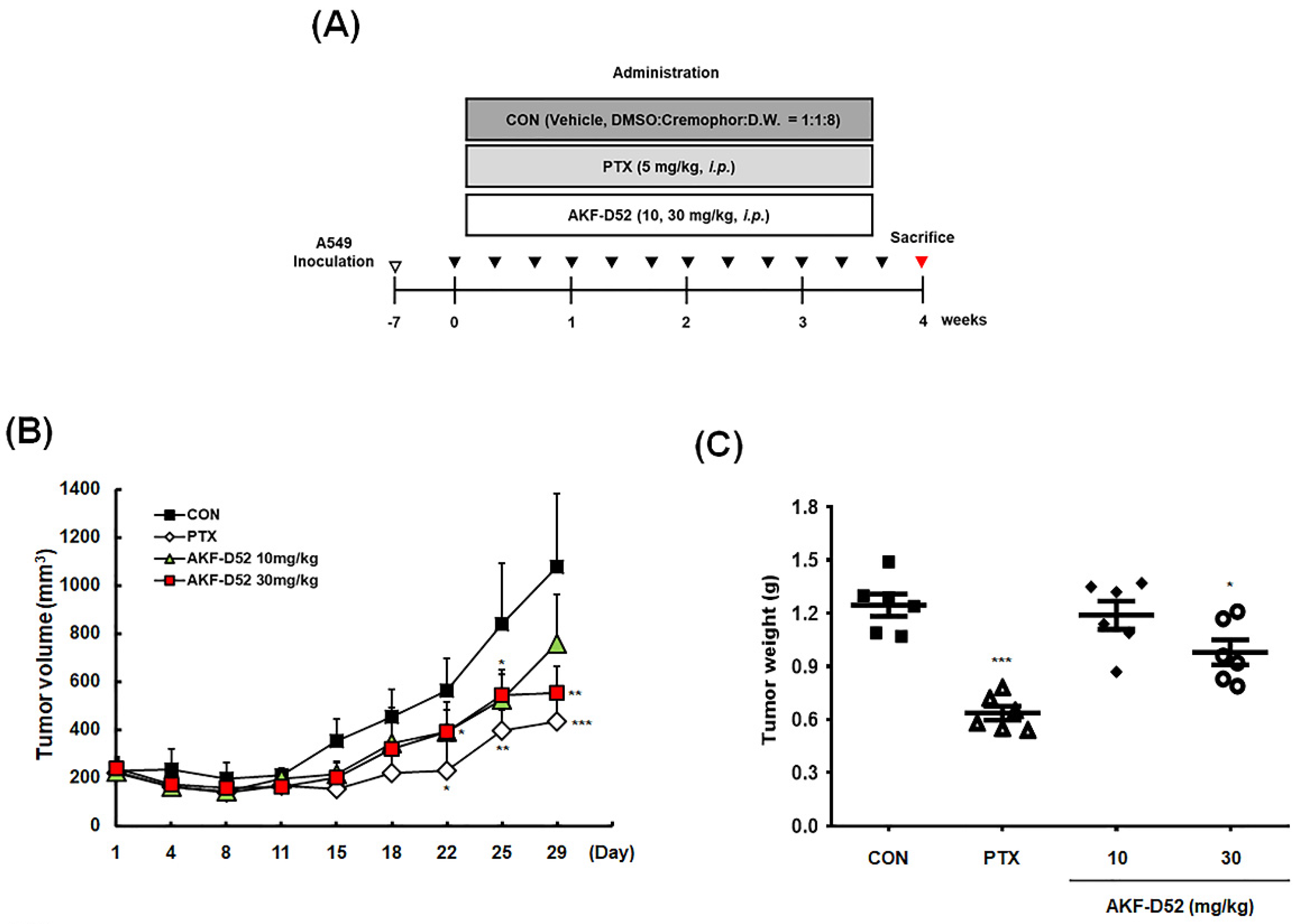 Cancers 13 05849 g007a