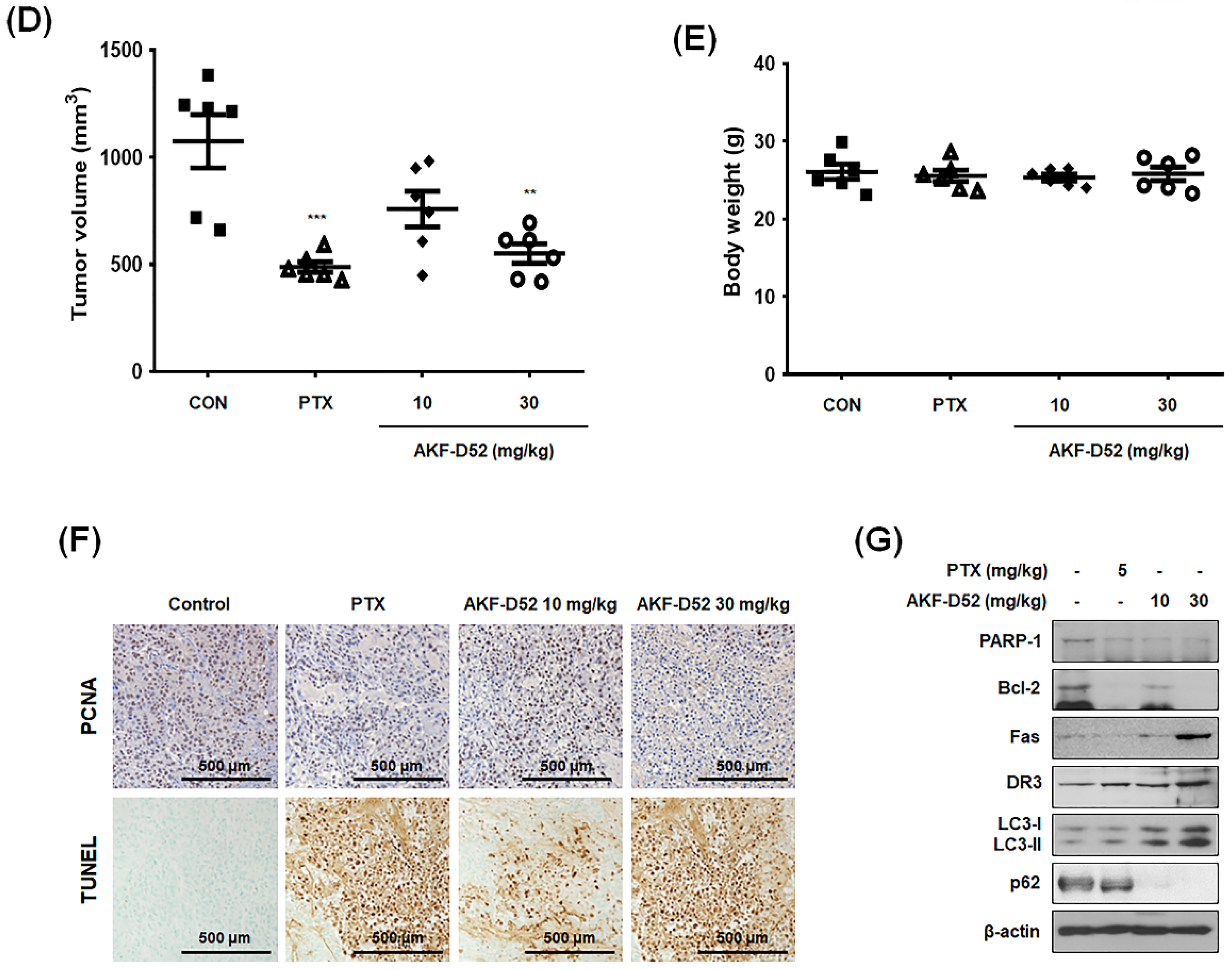 Cancers 13 05849 g007b