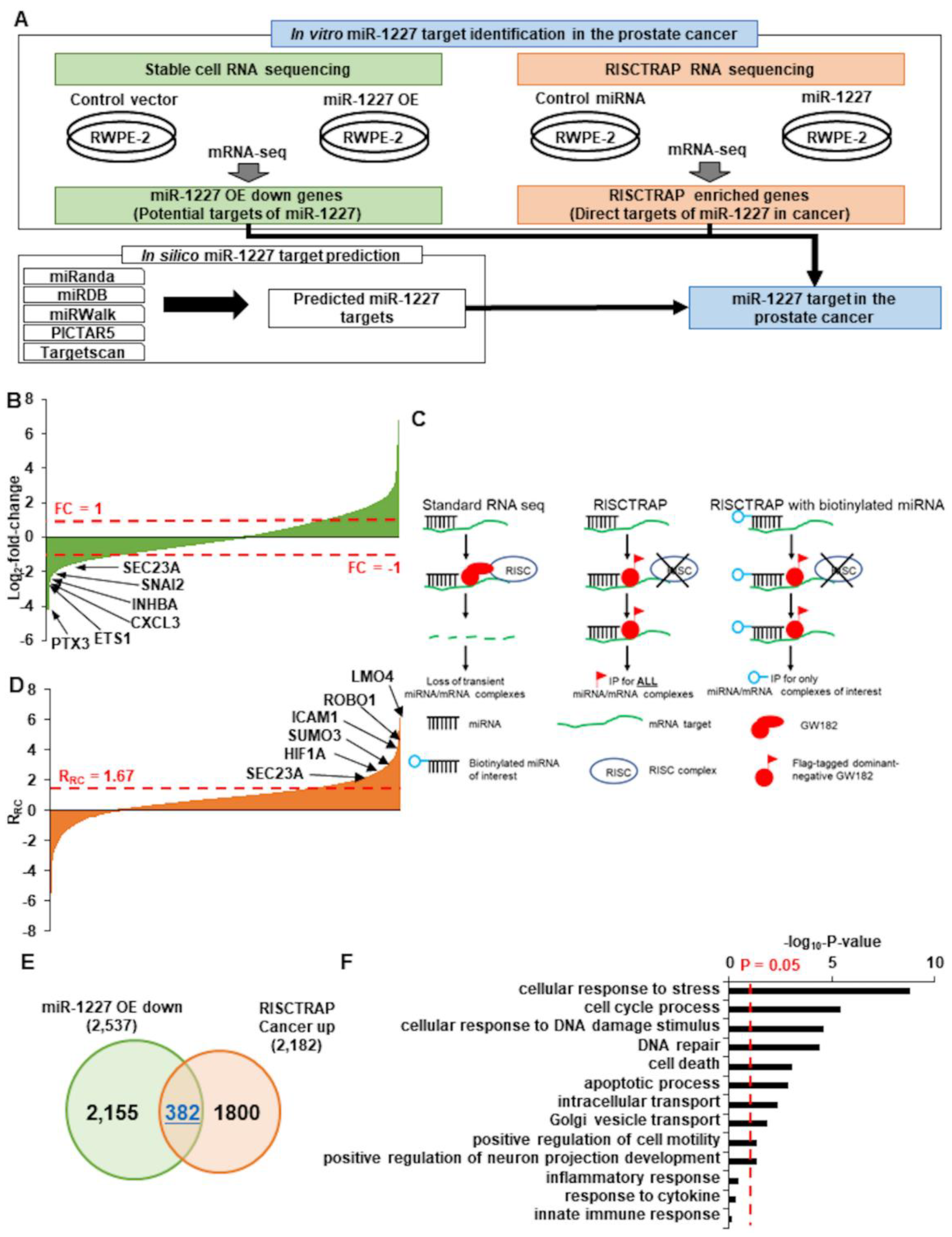 Cancers 13 05850 g002