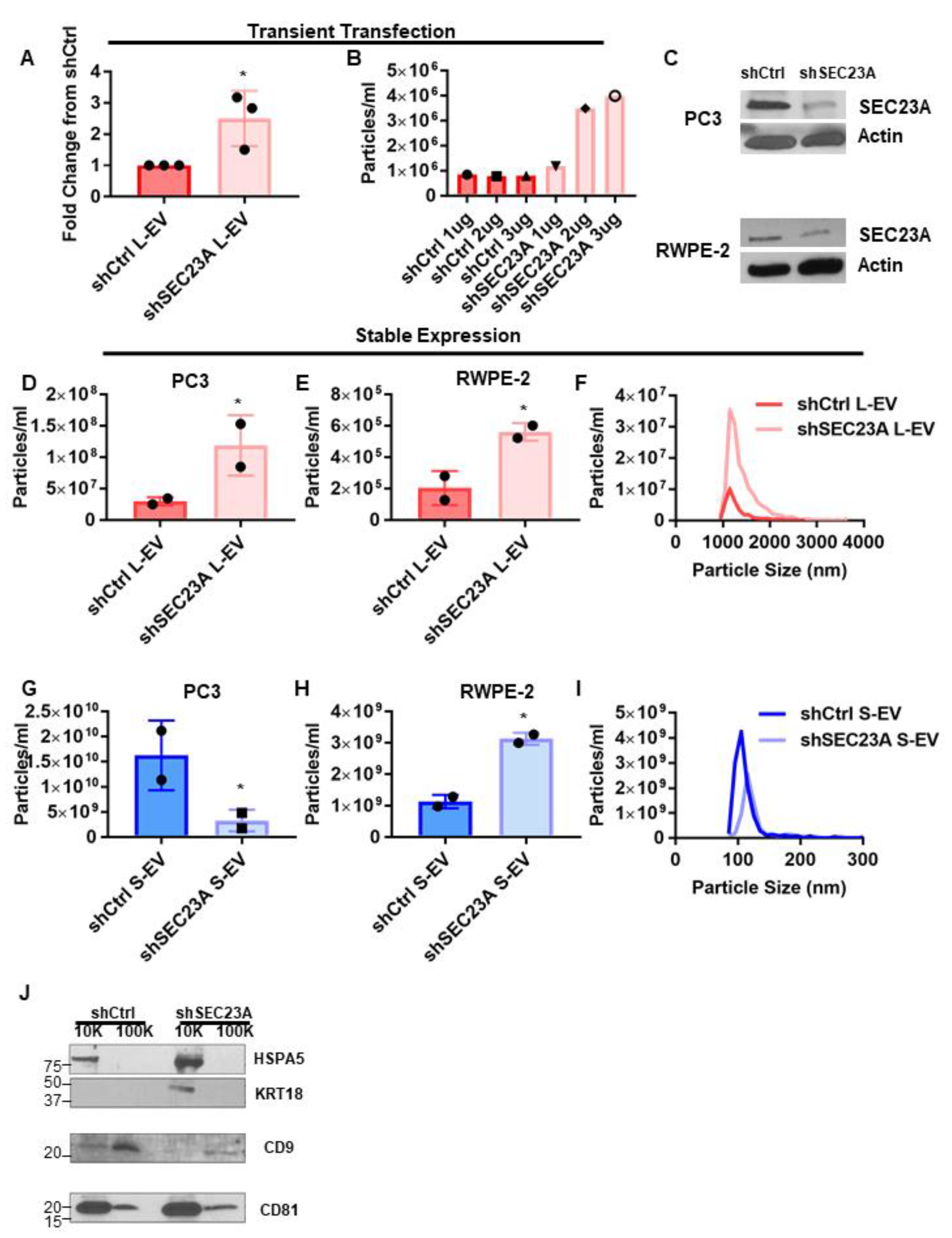 Cancers 13 05850 g004