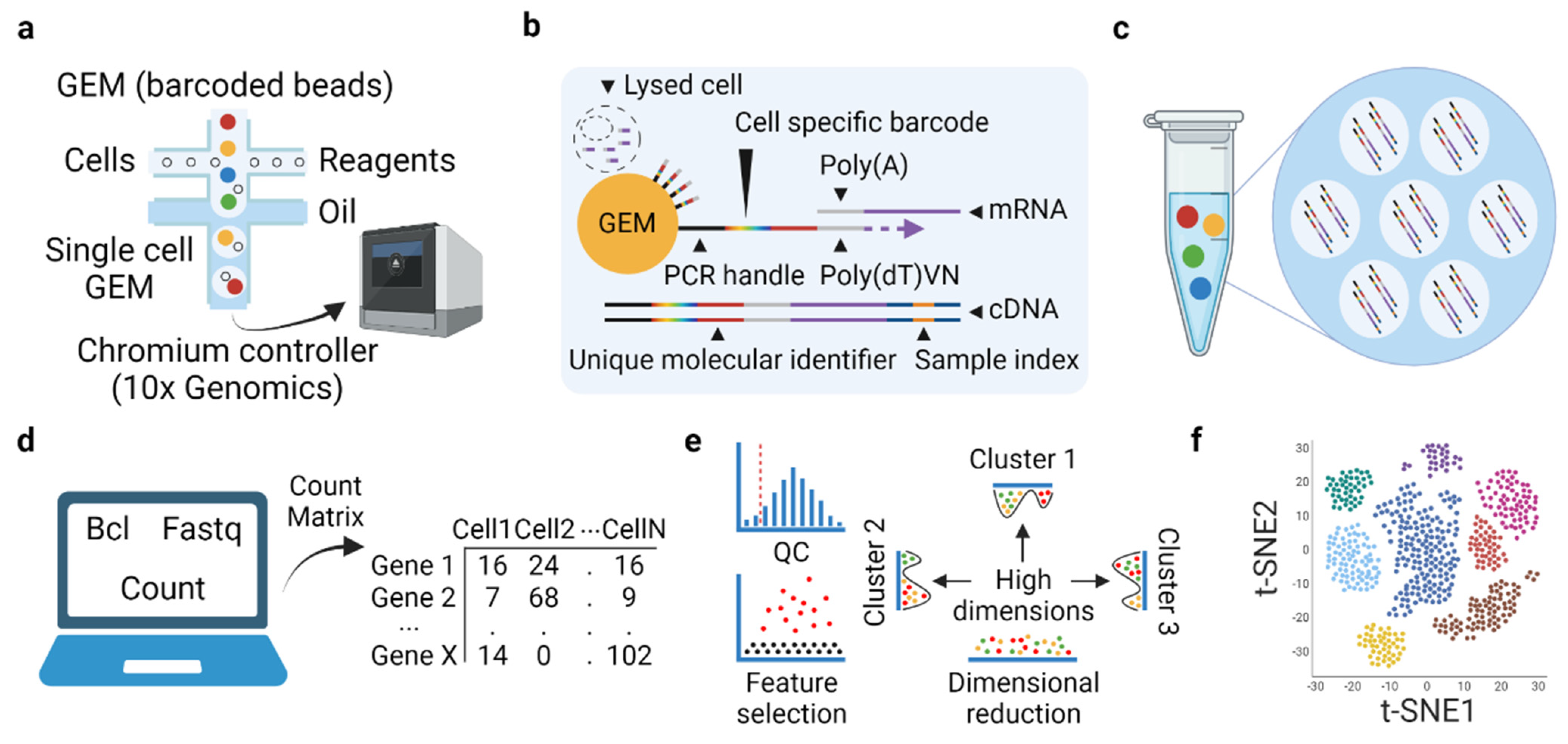 Cancers 13 05856 g001