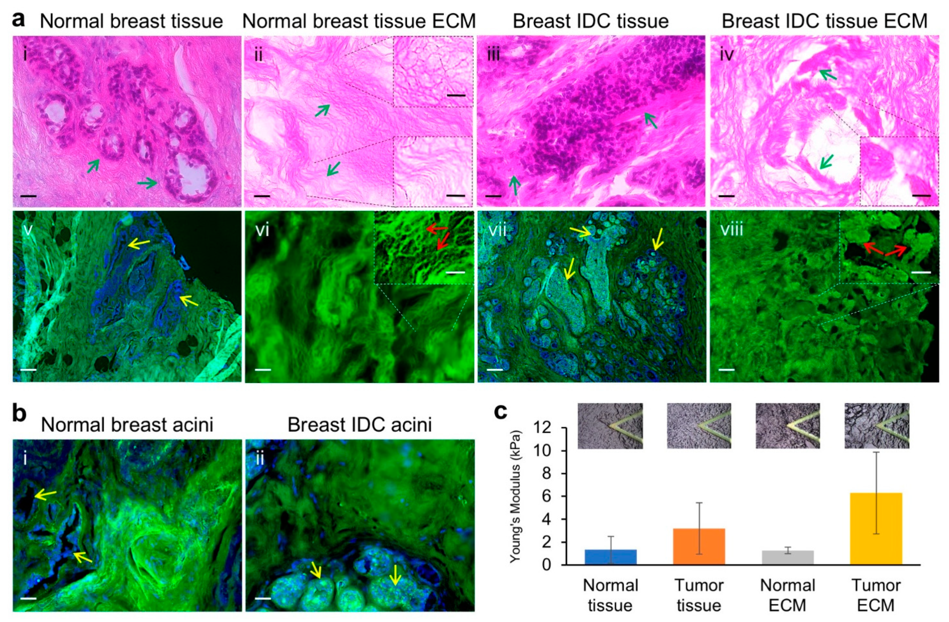 Cancers 13 05857 g001