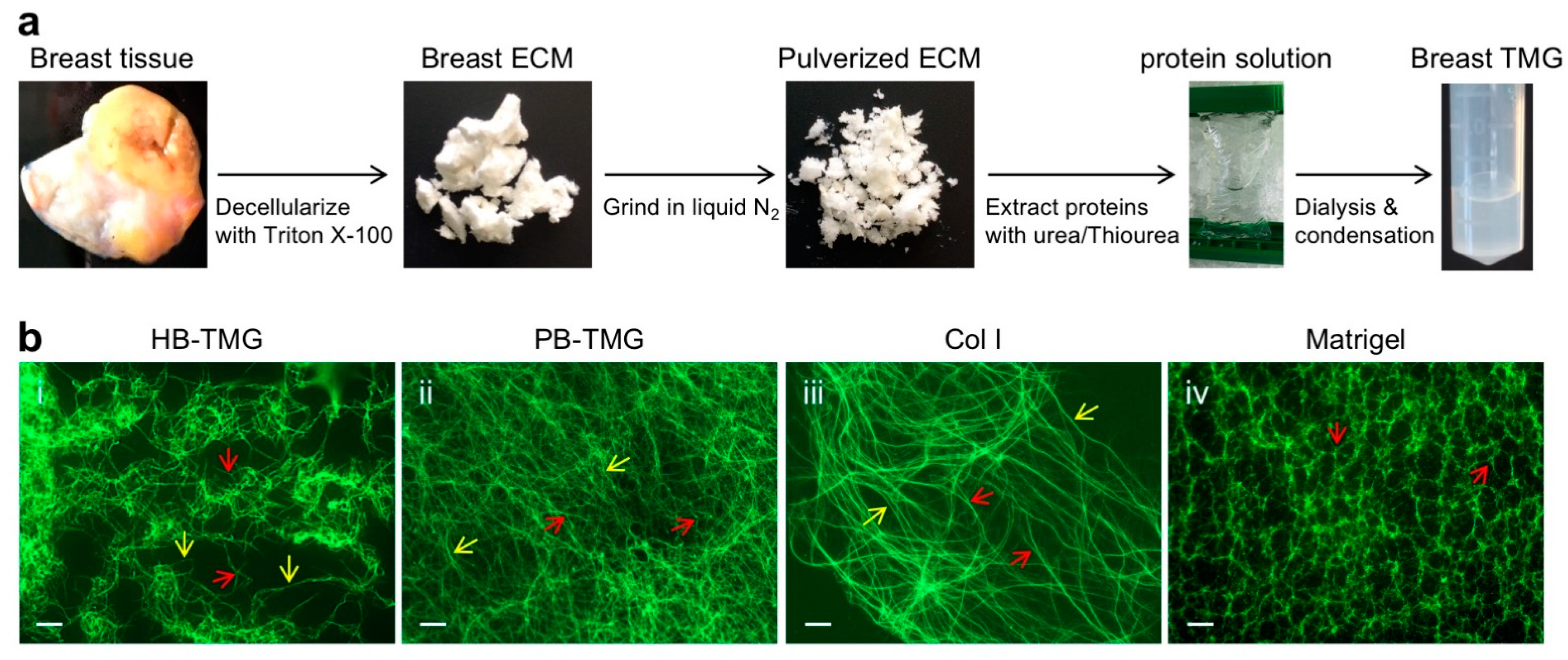 Cancers 13 05857 g002