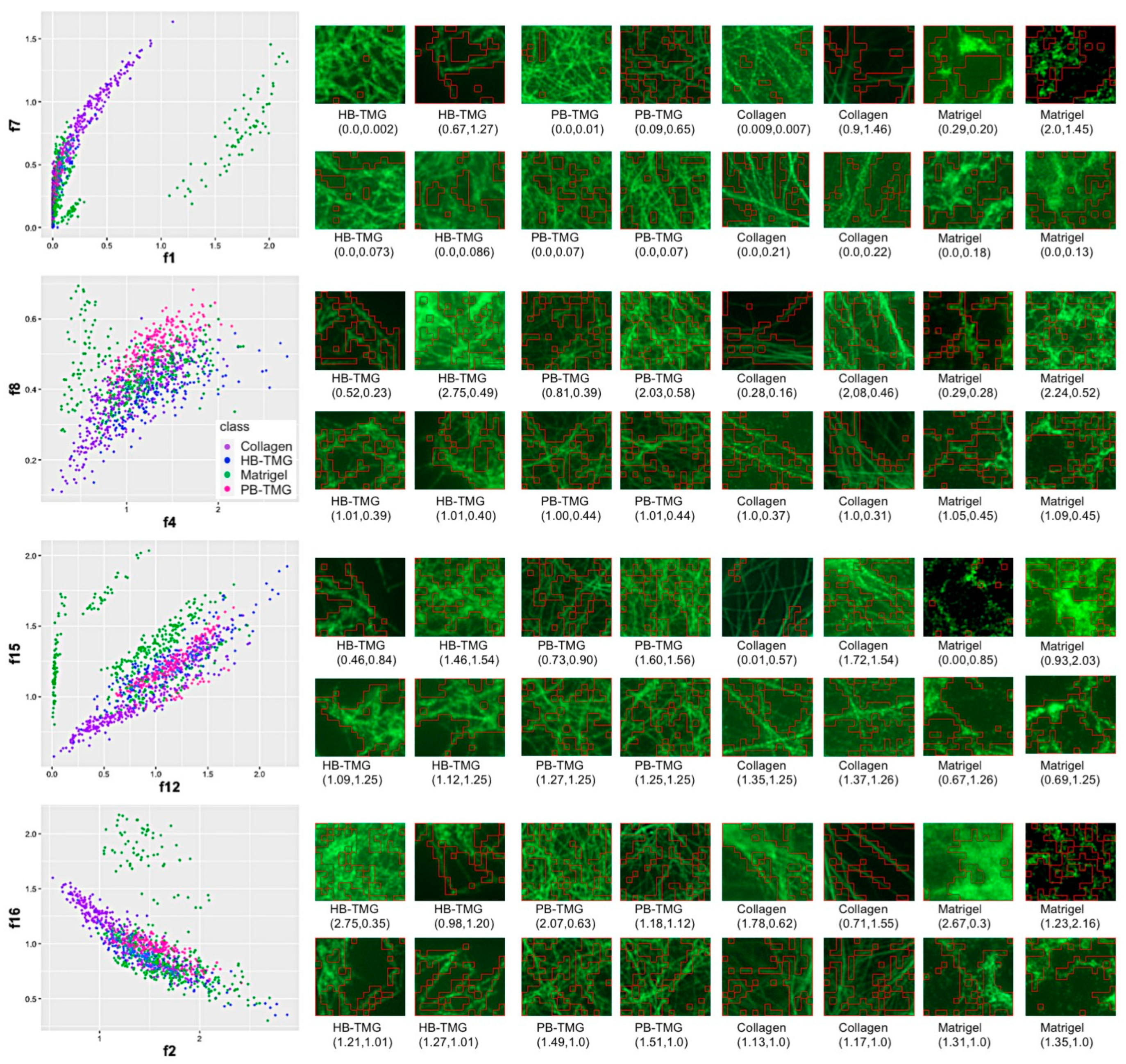 Cancers 13 05857 g003