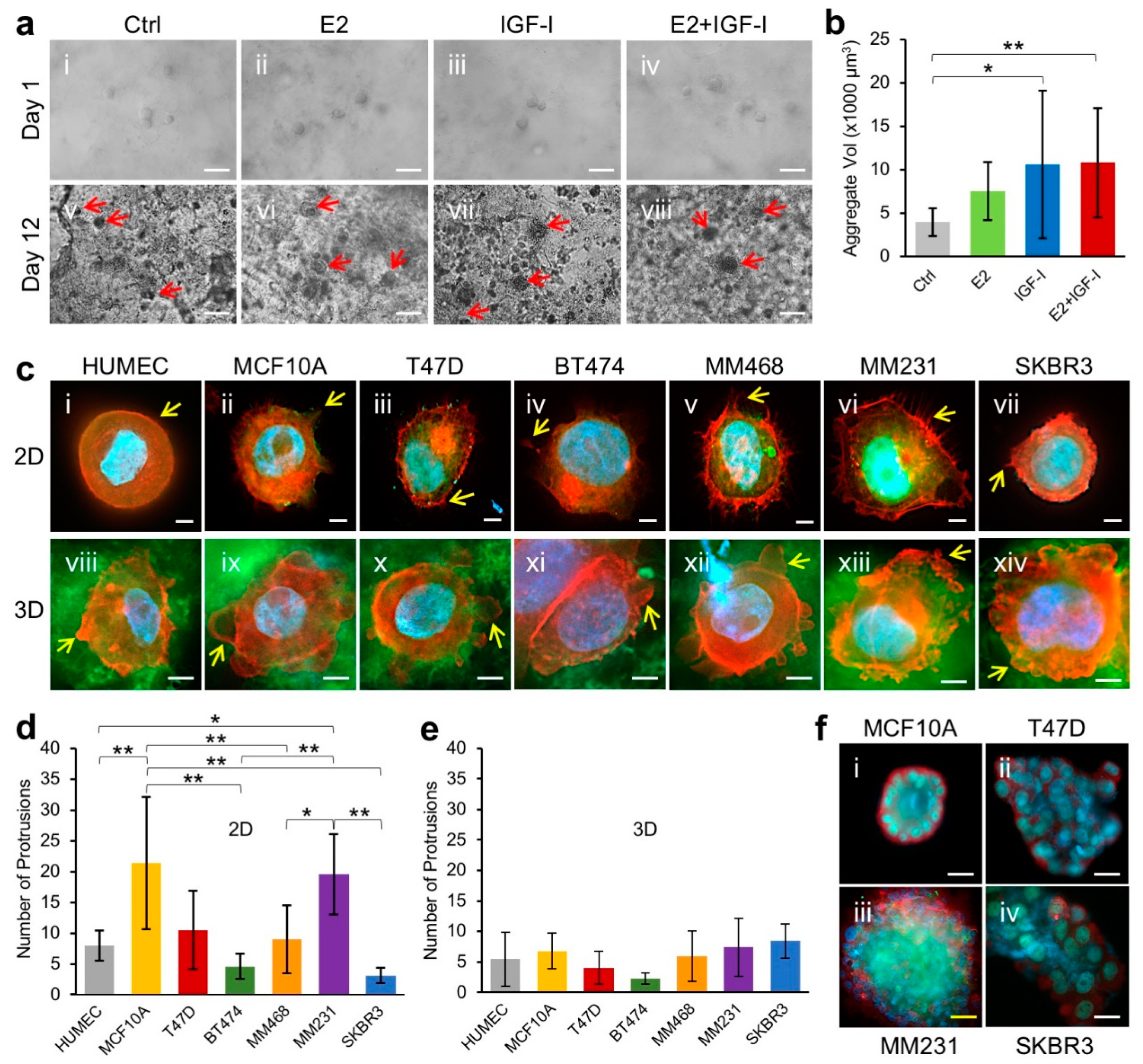 Cancers 13 05857 g004