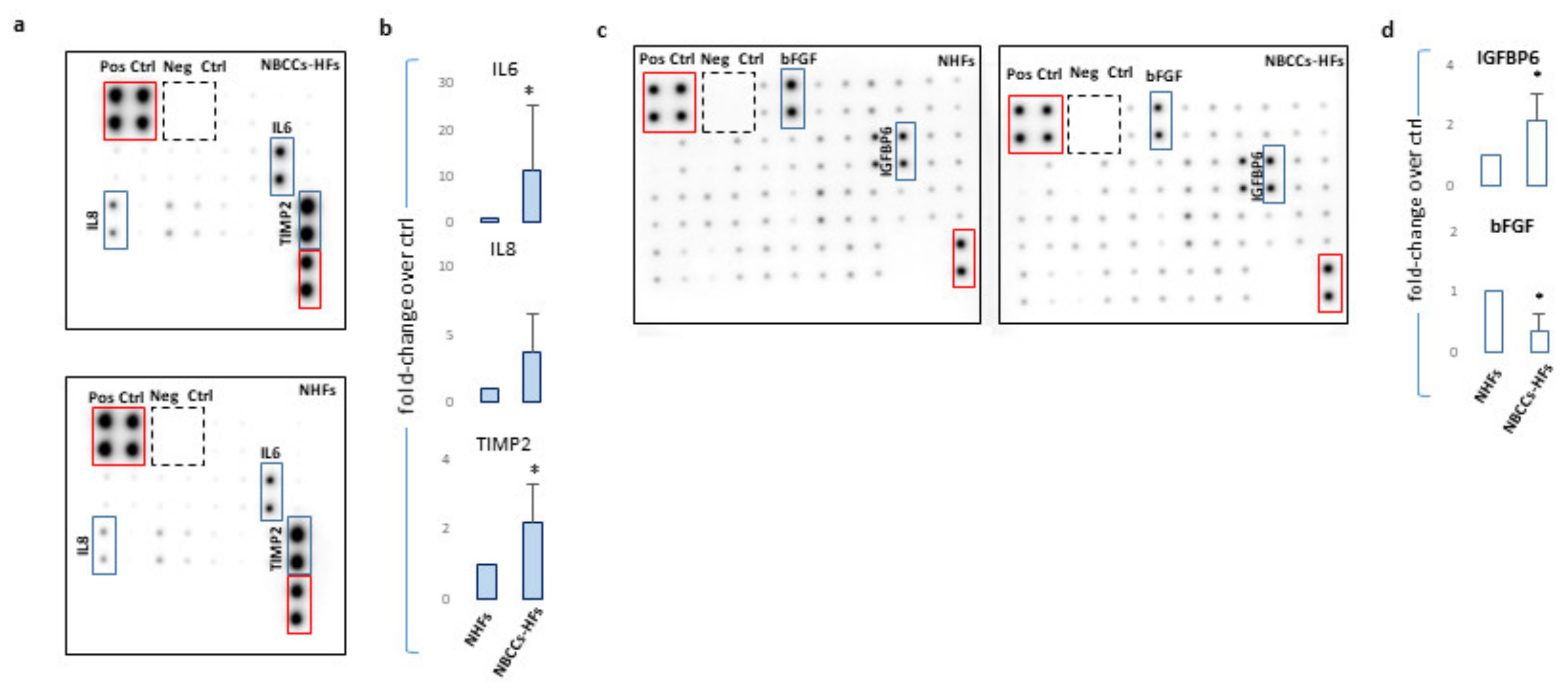 Cancers 13 05858 g003