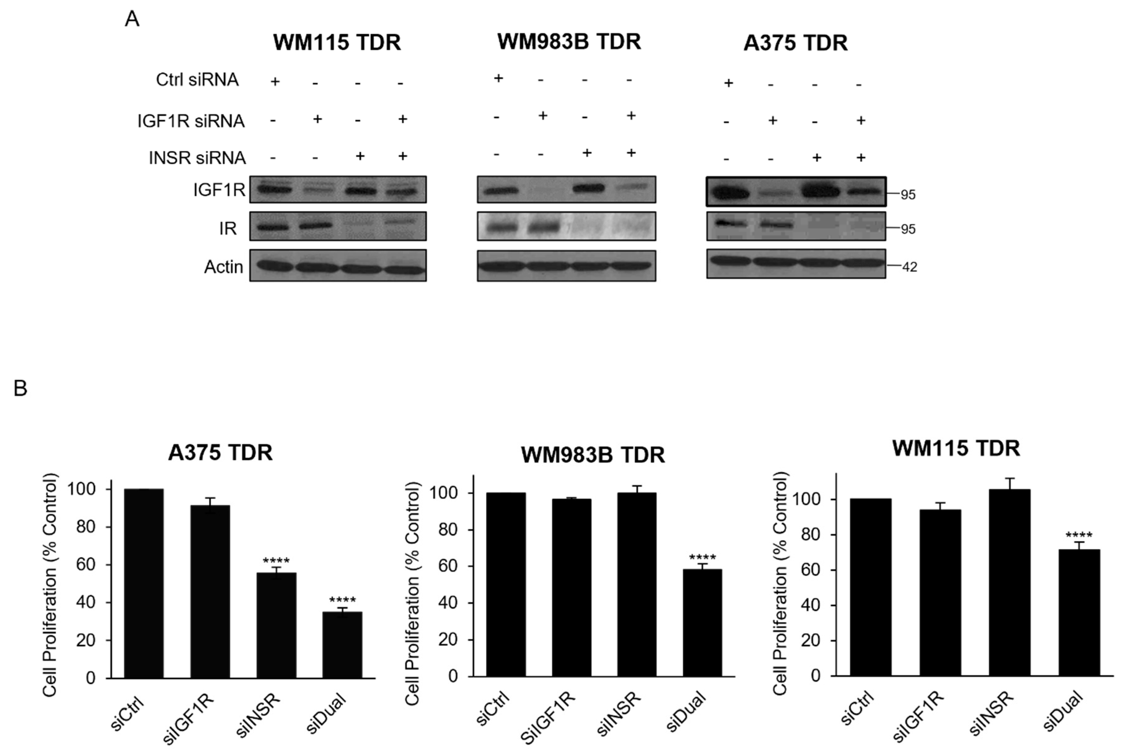 Cancers 13 05863 g005
