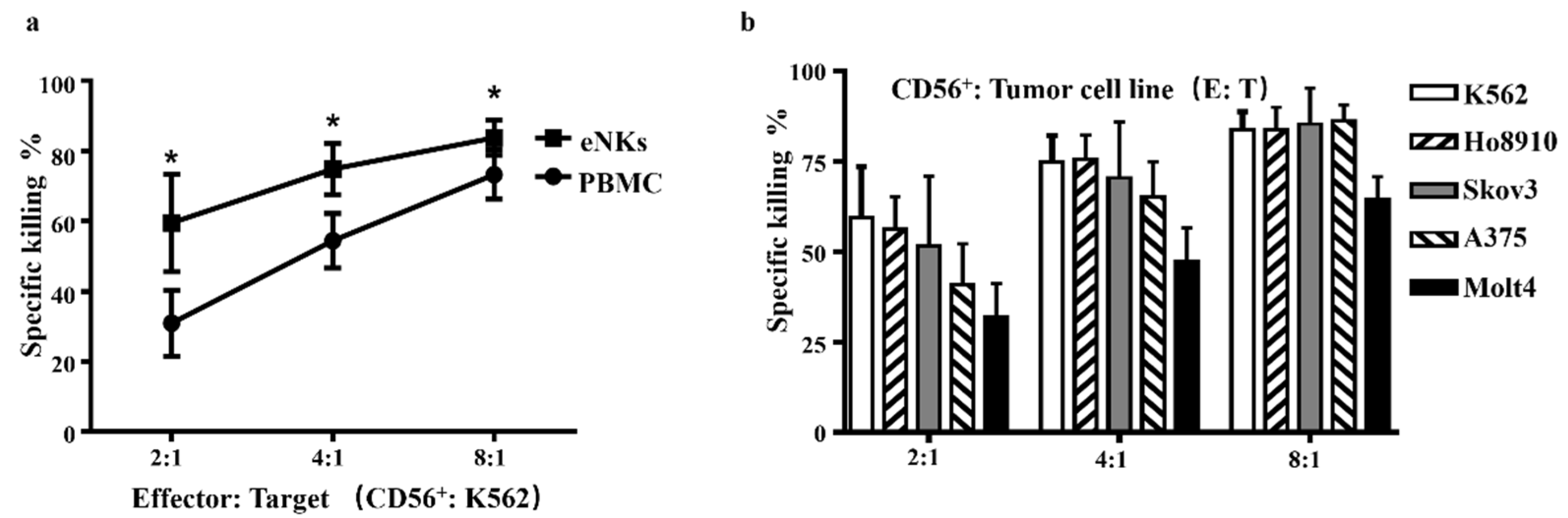 Cancers 13 05866 g002