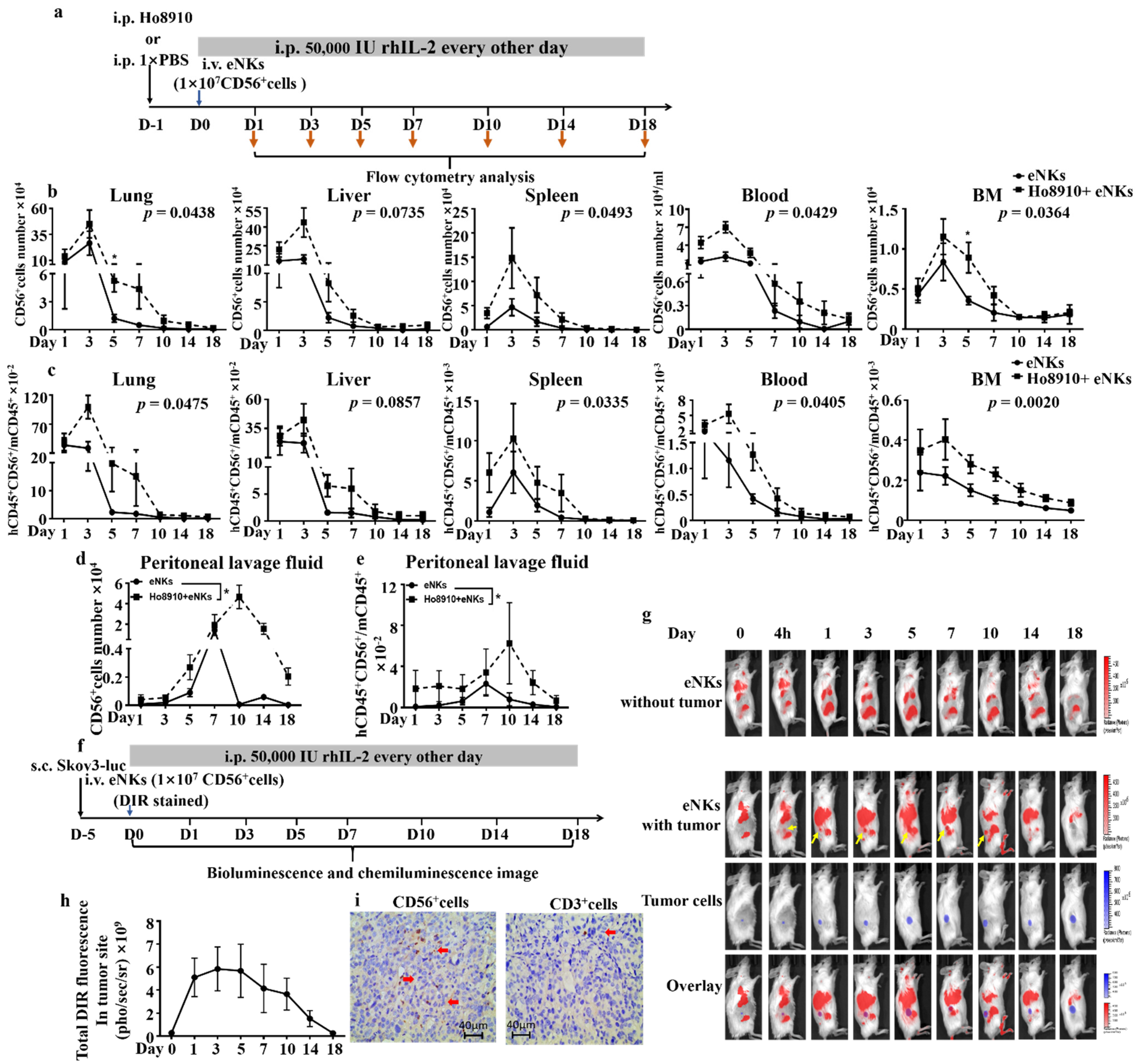 Cancers 13 05866 g003
