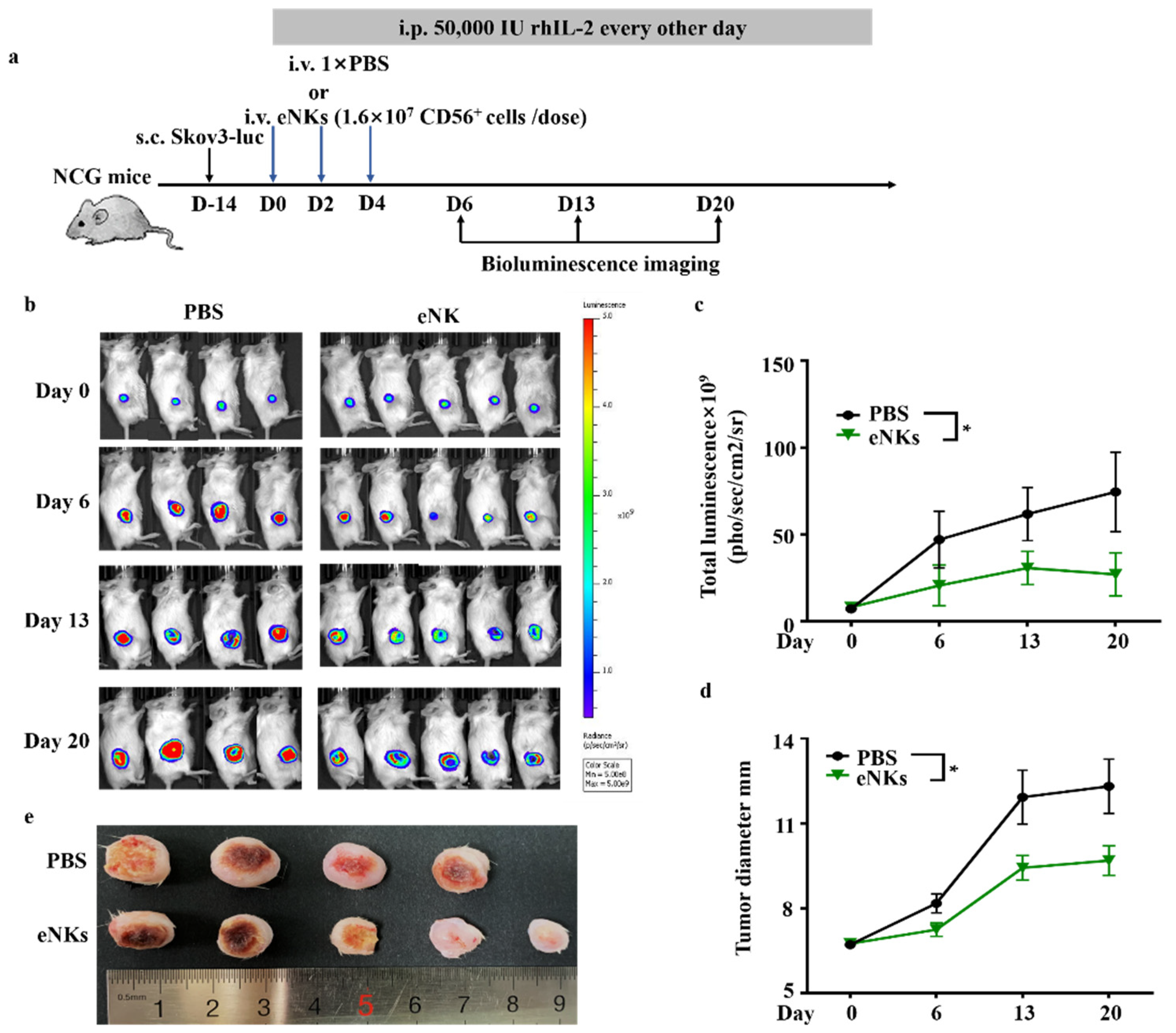 Cancers 13 05866 g004