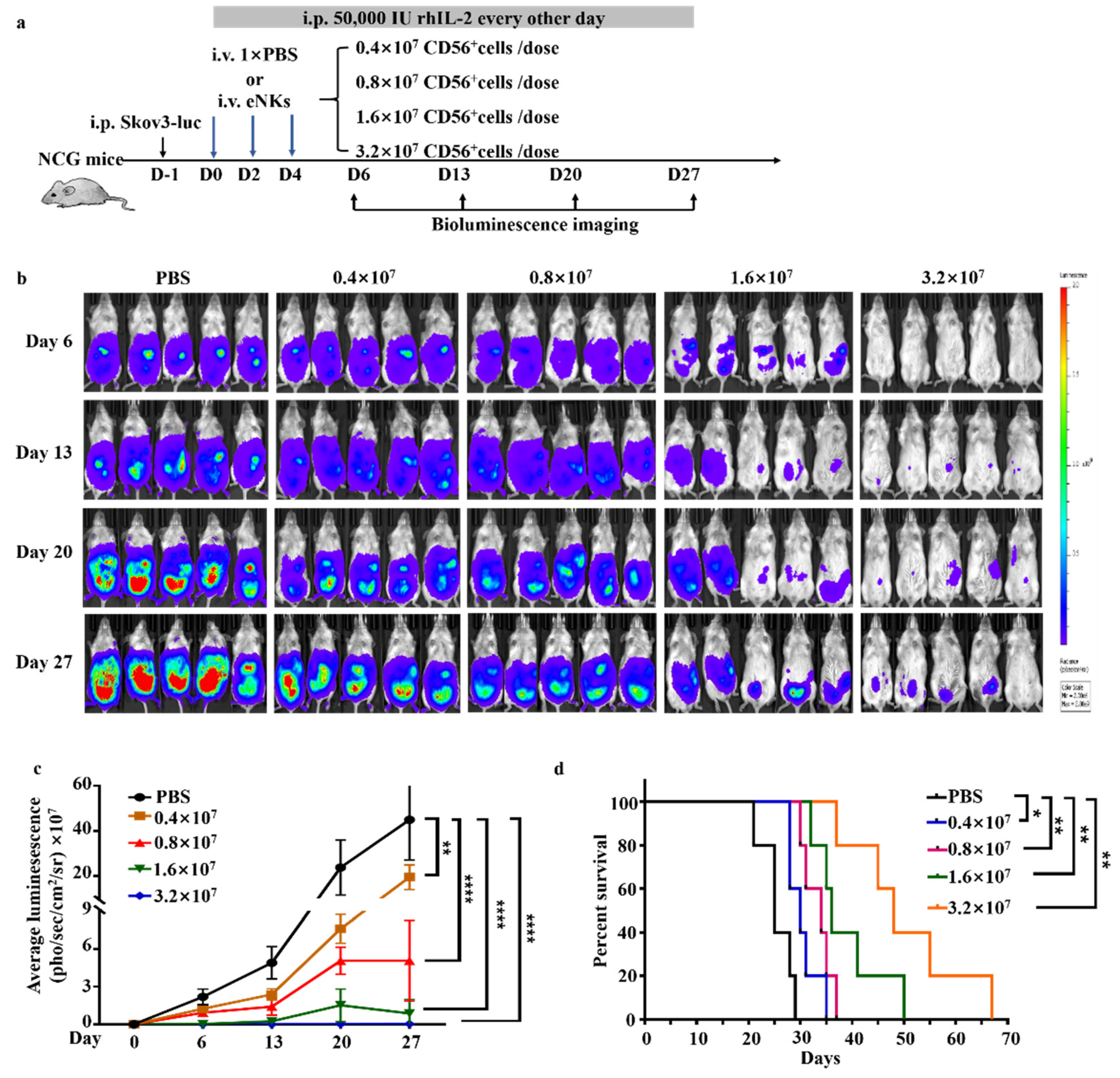 Cancers 13 05866 g005