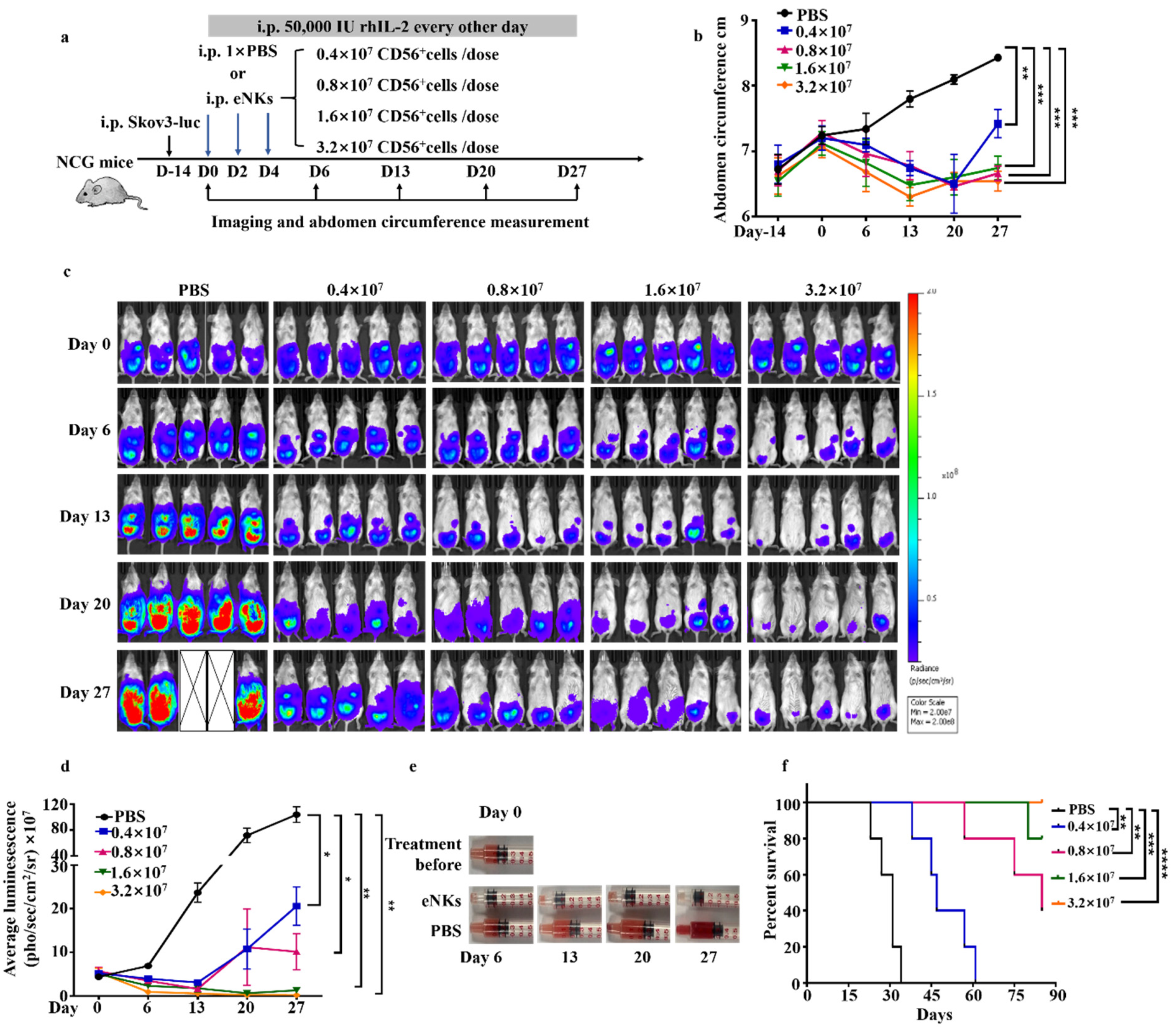 Cancers 13 05866 g006
