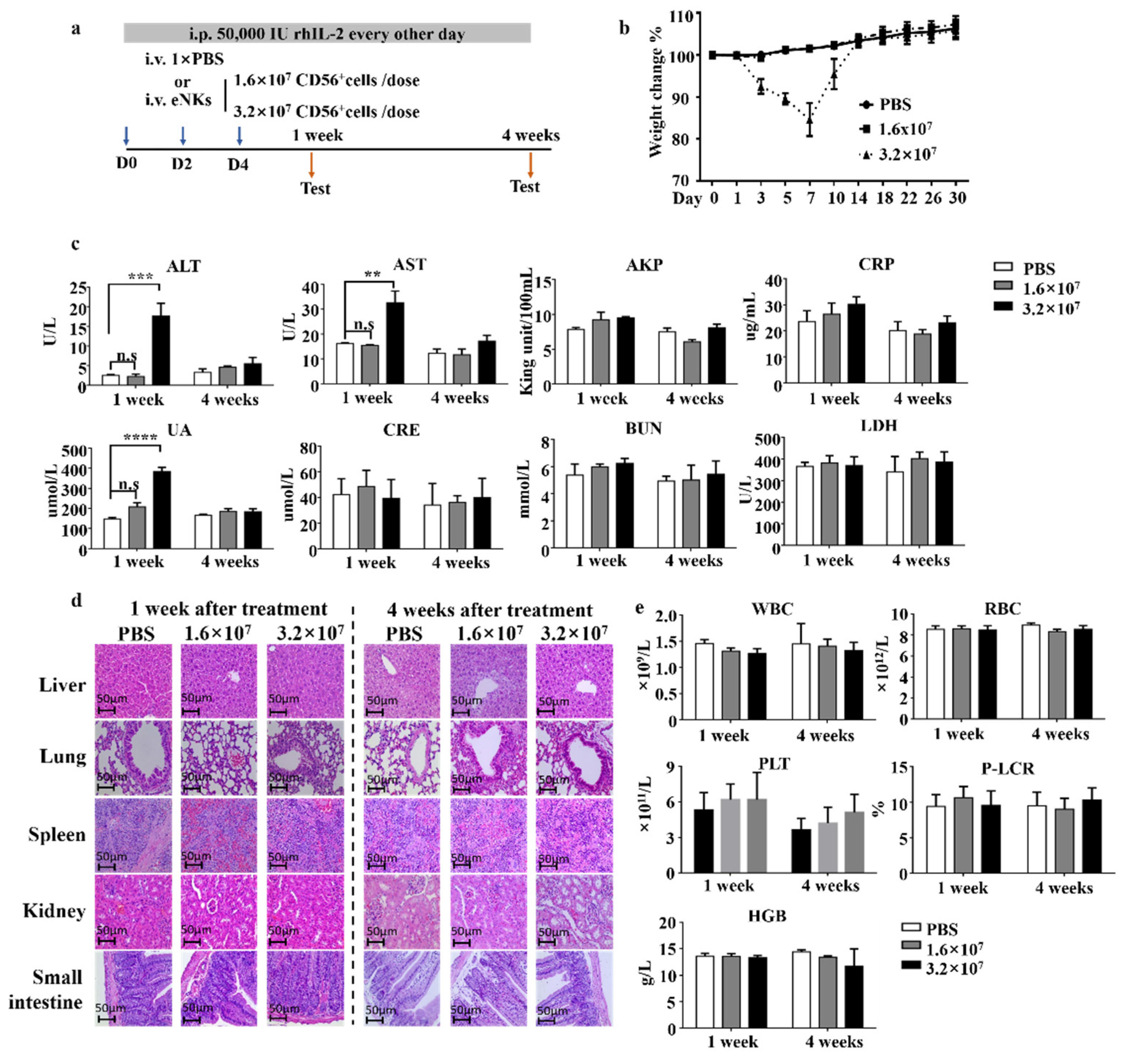 Cancers 13 05866 g007