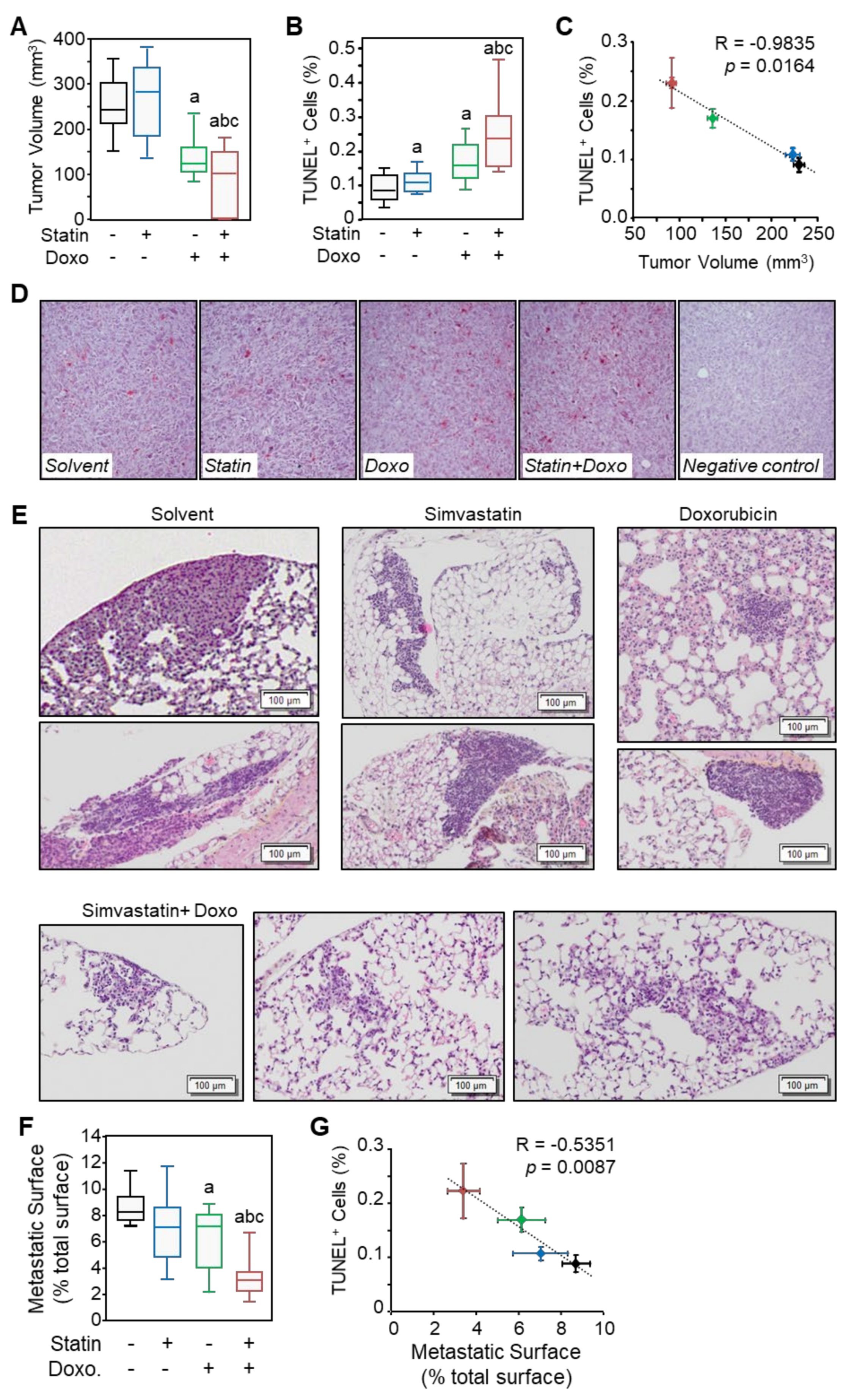 Cancers 13 05869 g008
