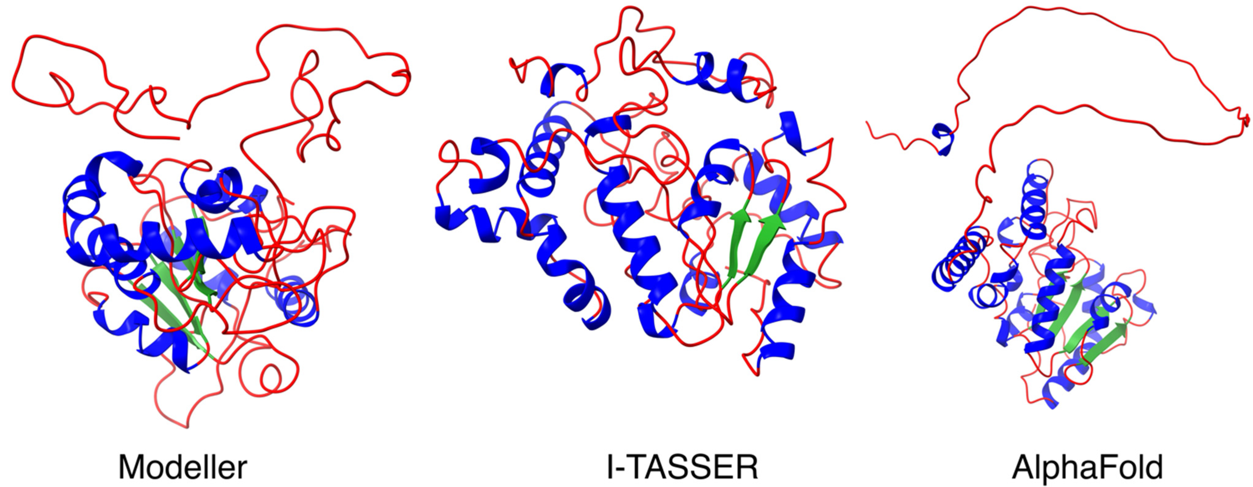 Cancers 13 05870 g001