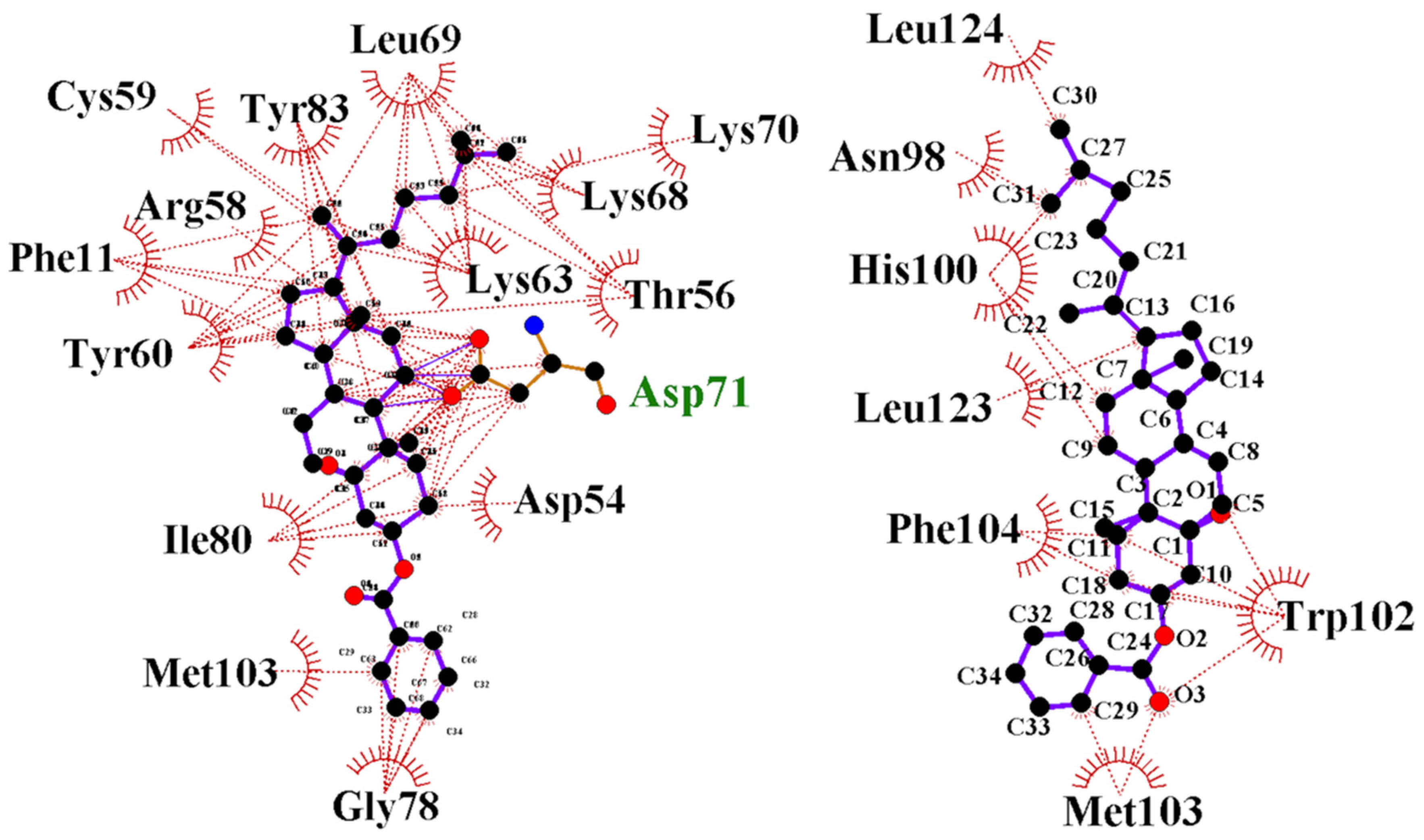 Cancers 13 05870 g011b