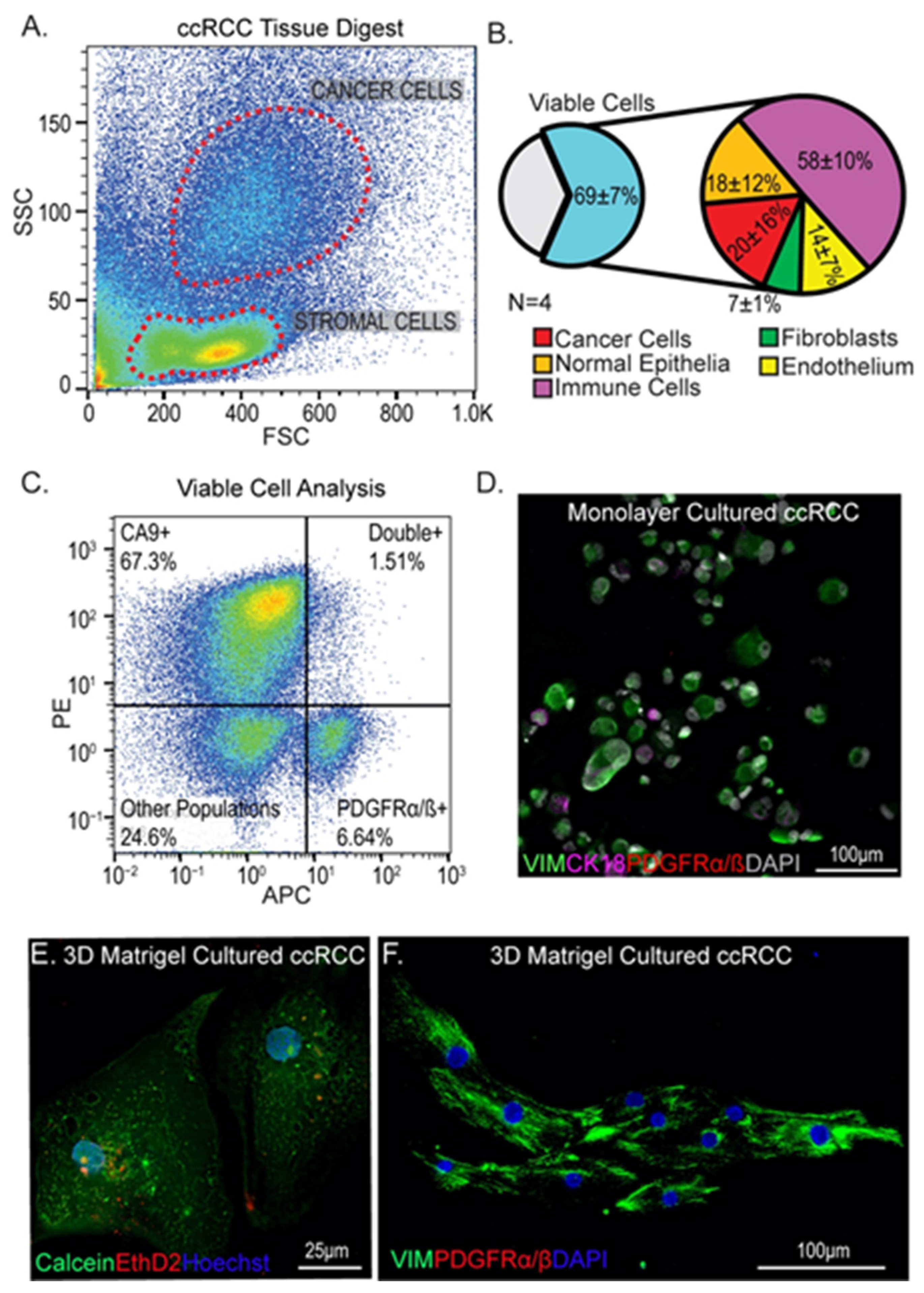 Cancers 13 05873 g001