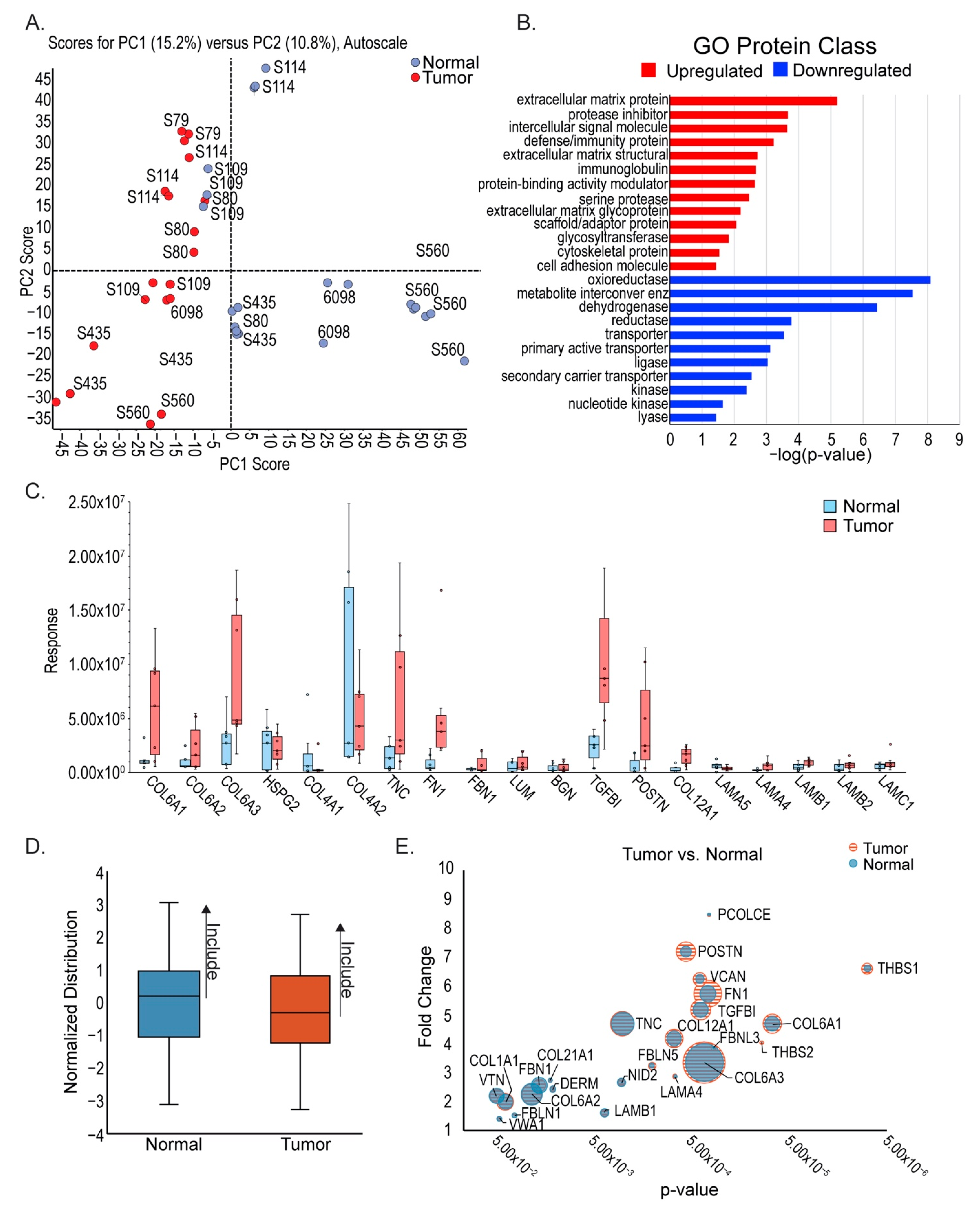 Cancers 13 05873 g002
