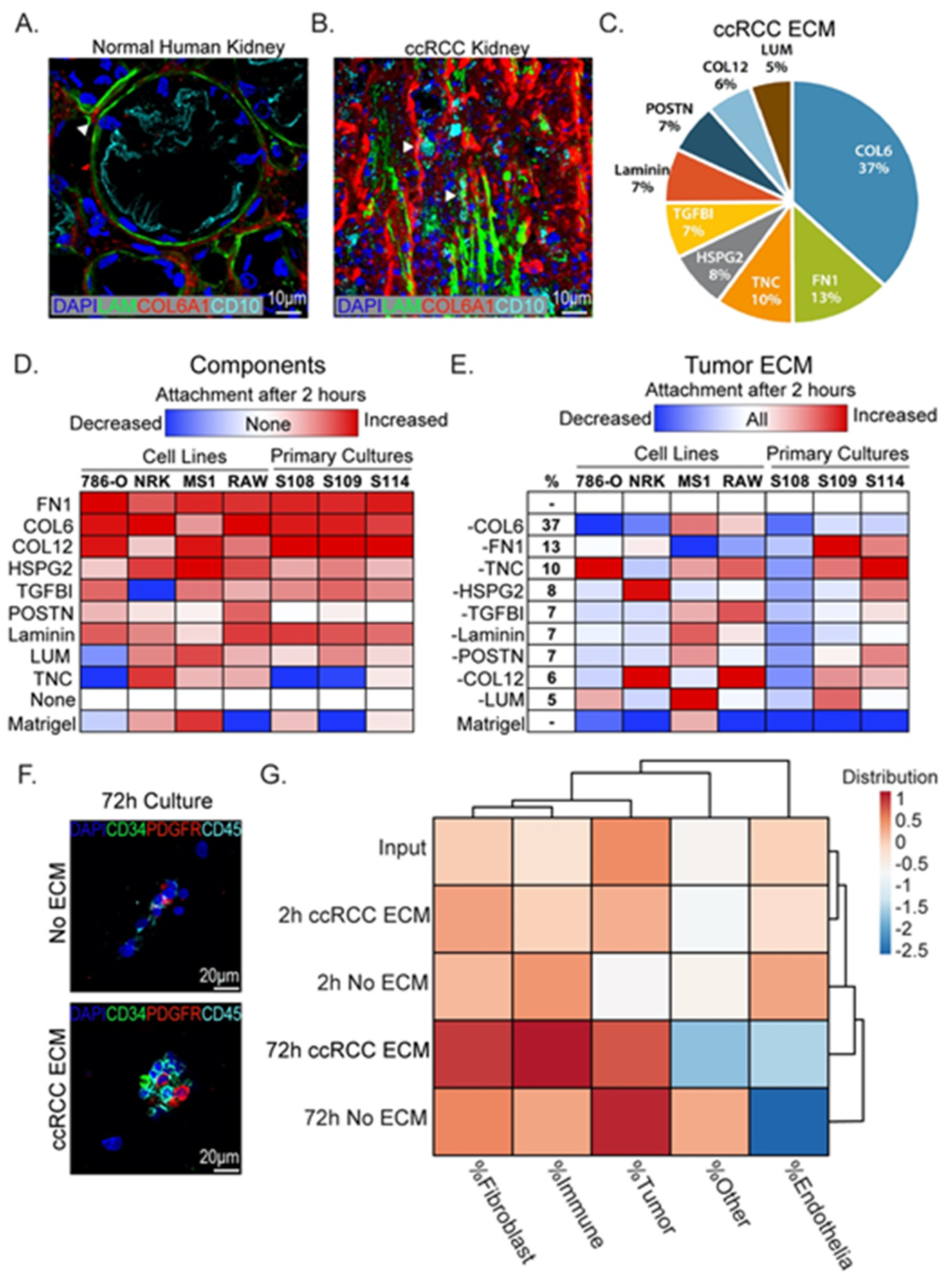Cancers 13 05873 g004