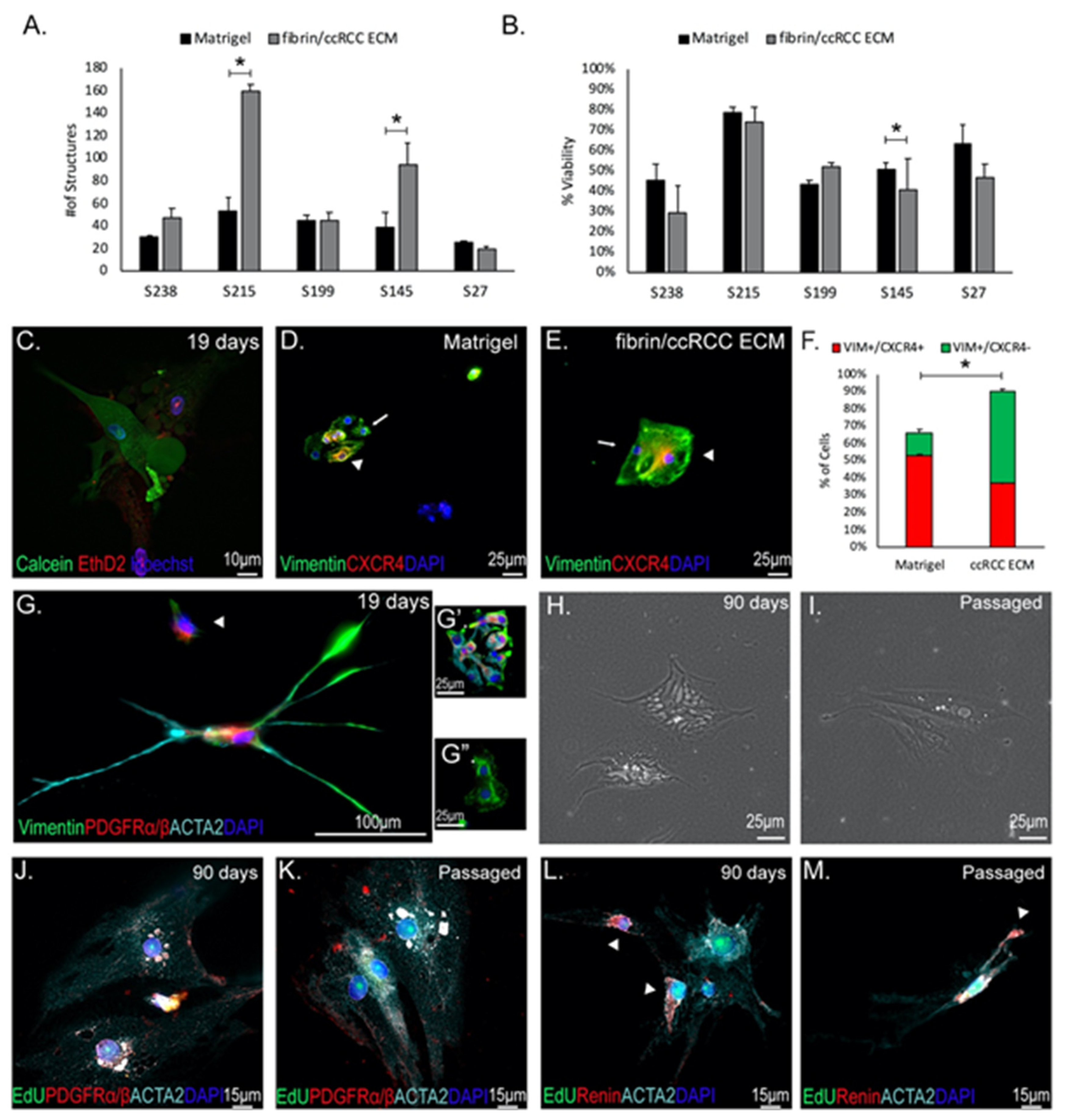 Cancers 13 05873 g006