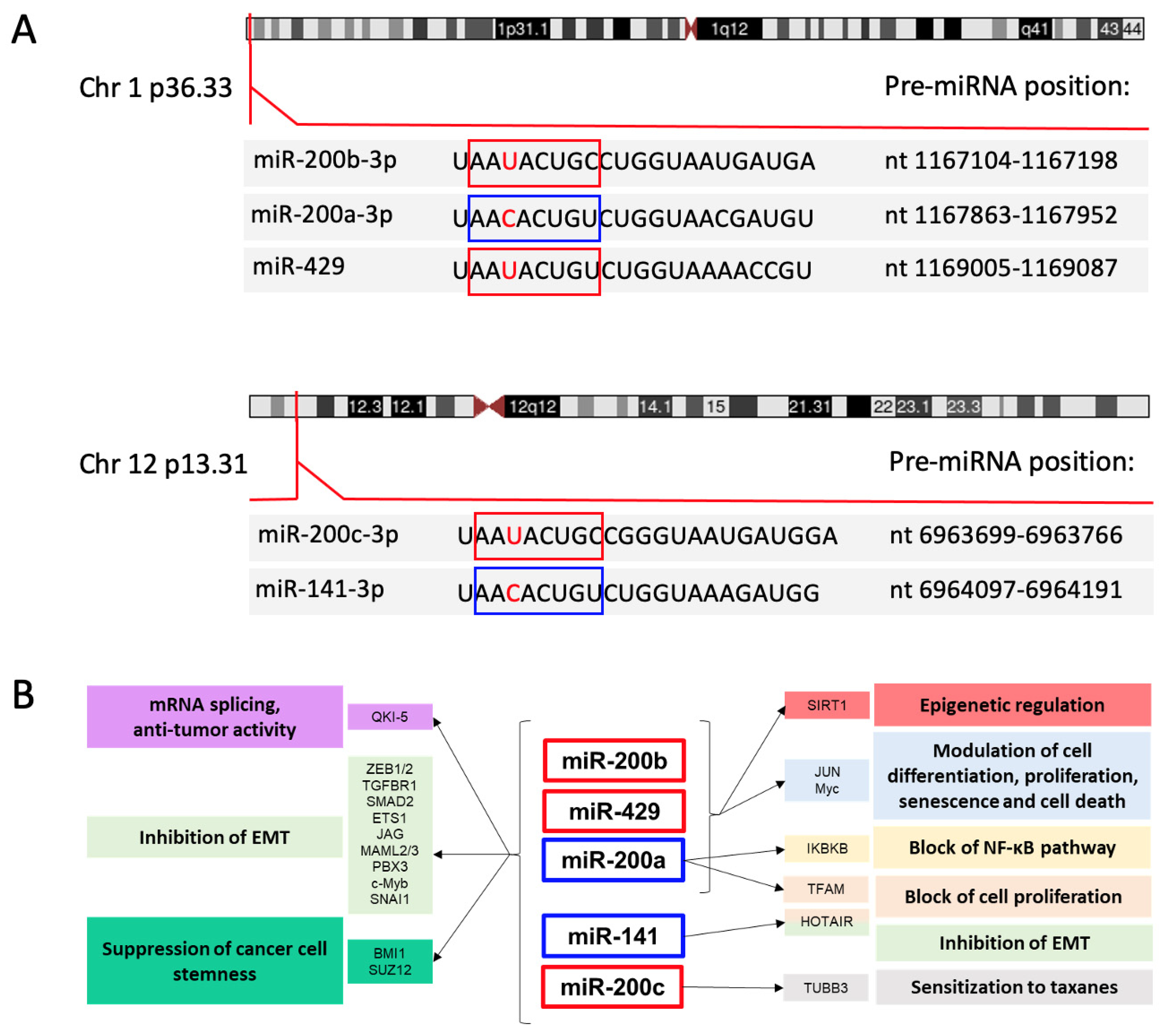Cancers 13 05874 g001