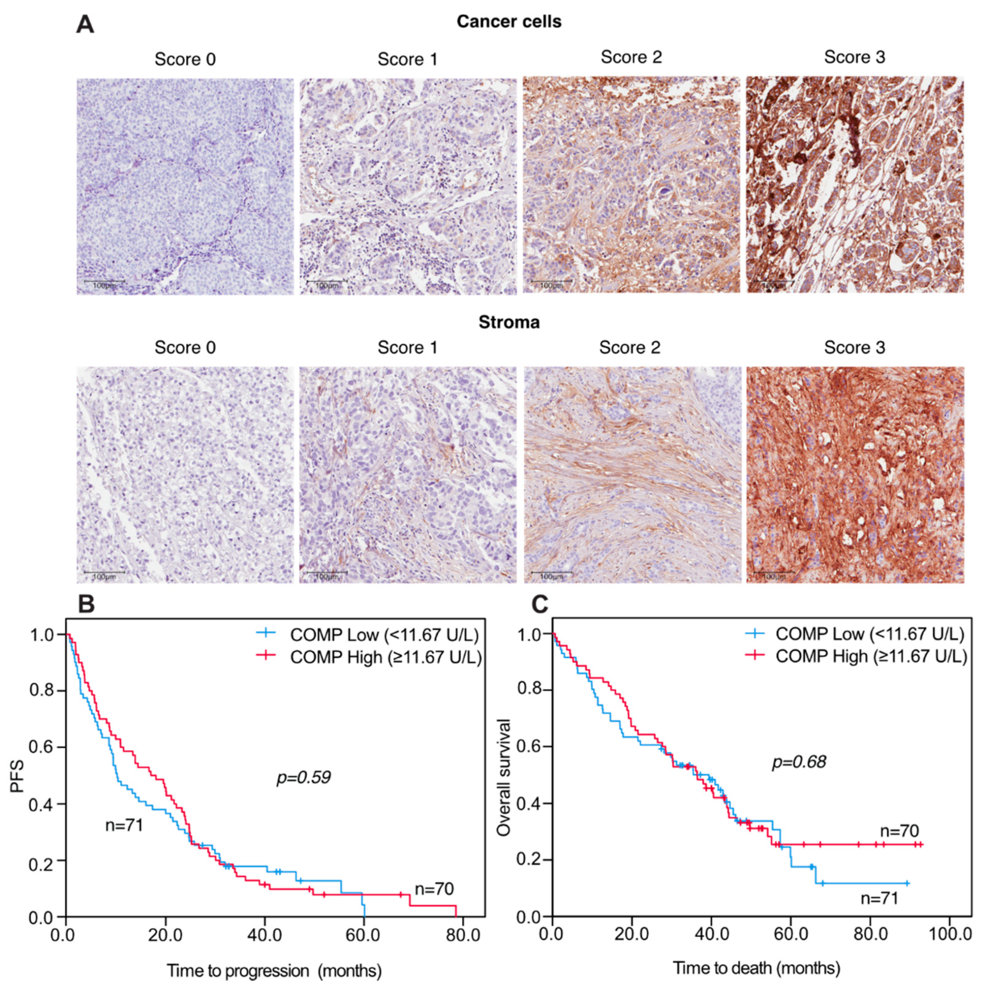 Cancers 13 05876 g002