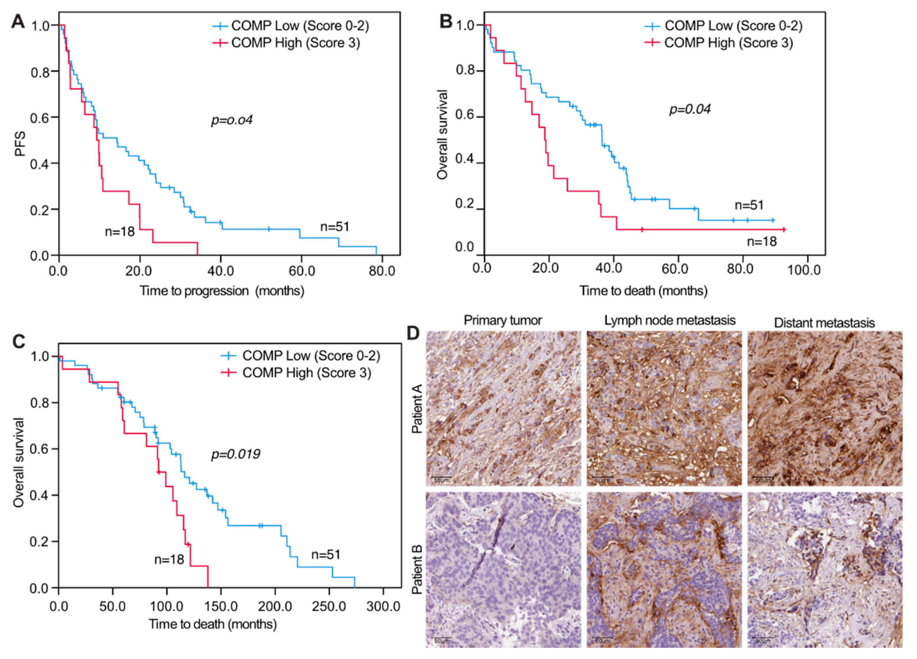 Cancers 13 05876 g004