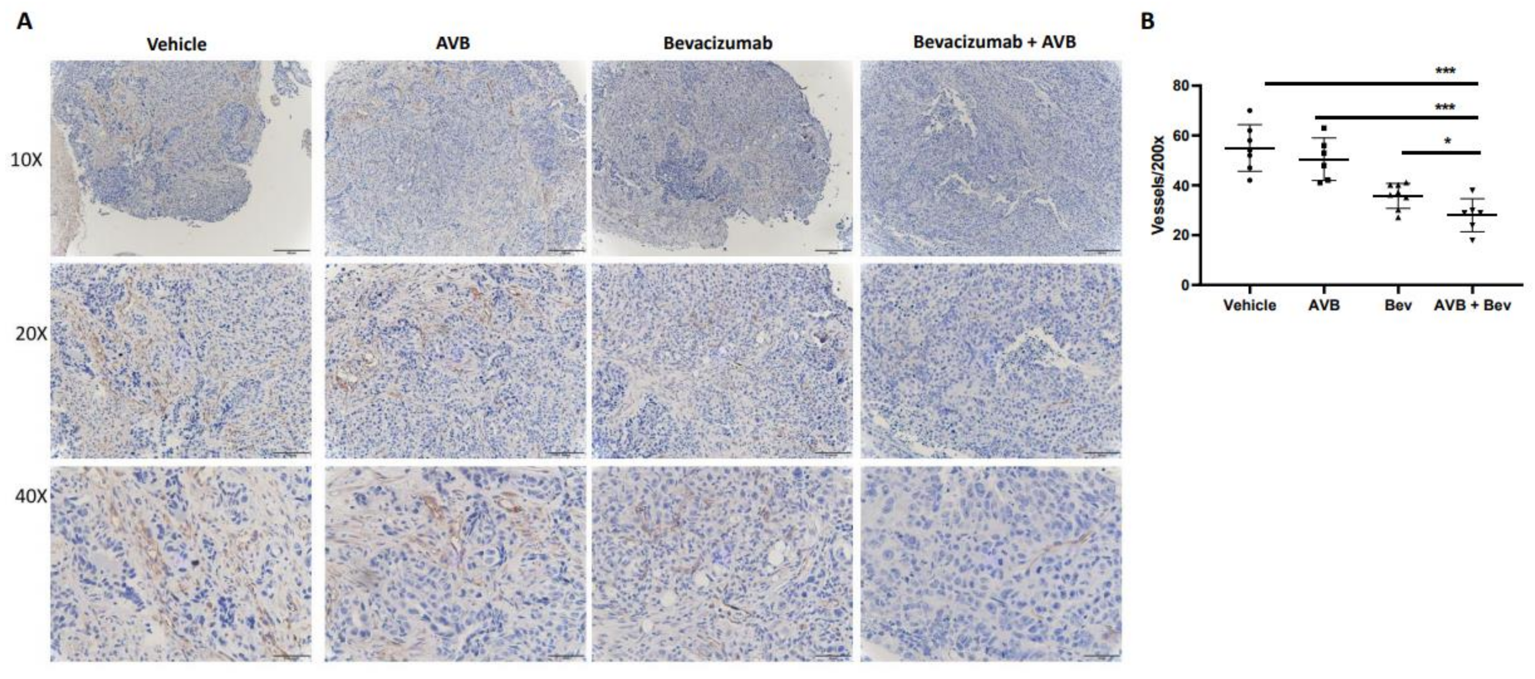 Cancers 13 05877 g003