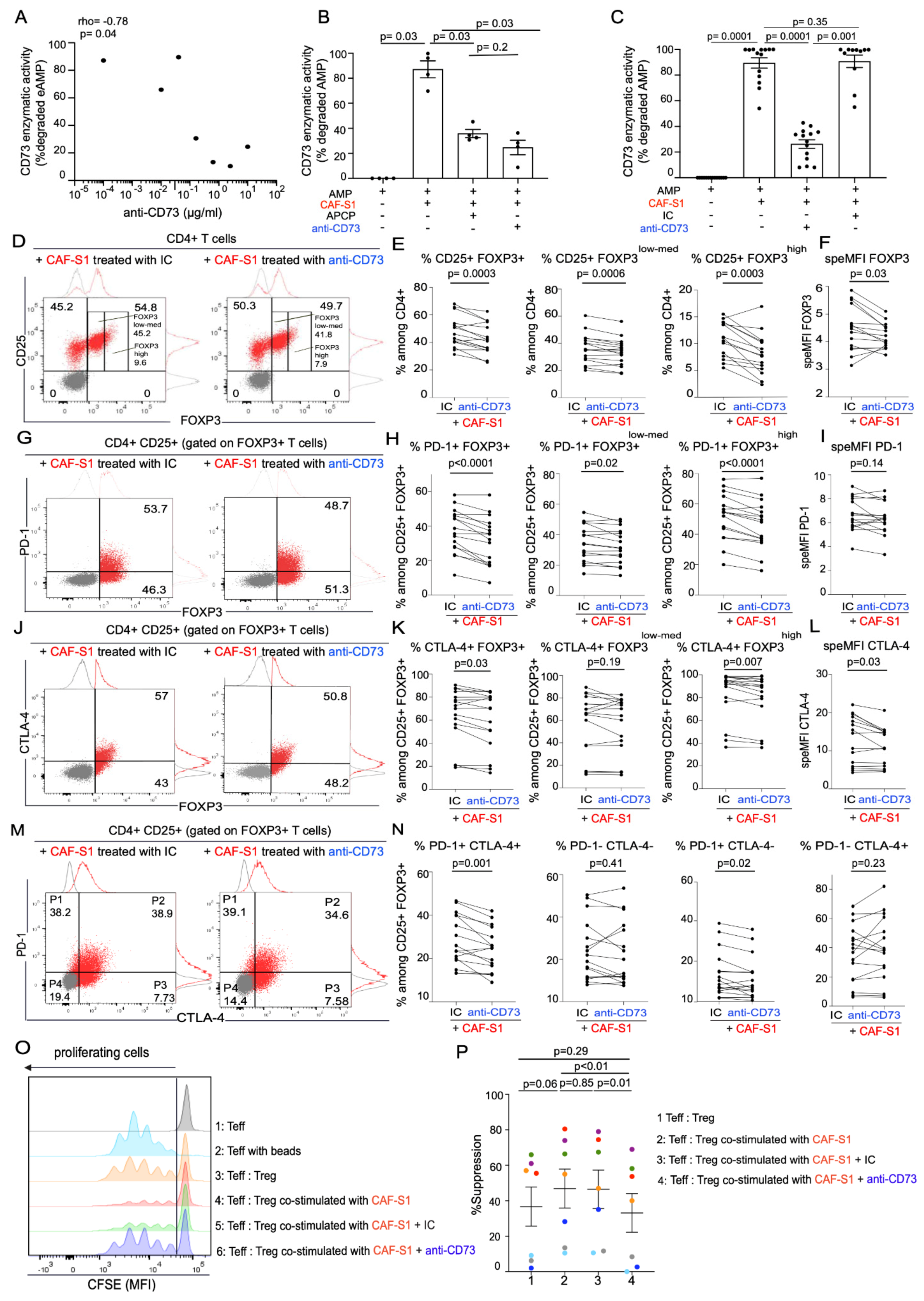 Cancers 13 05878 g004