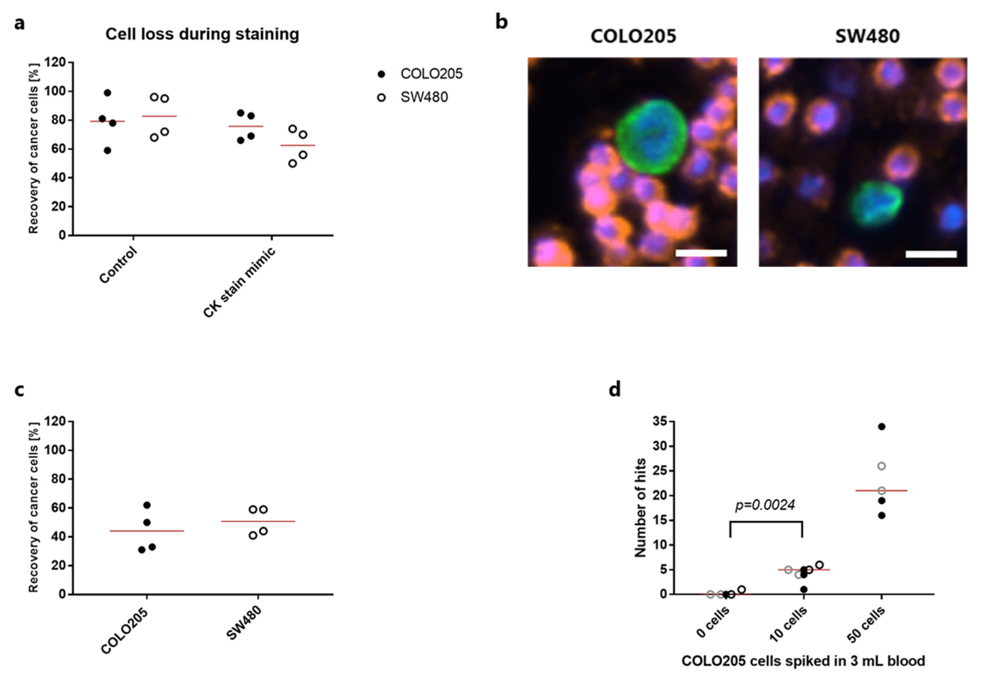 Cancers 13 05881 g001