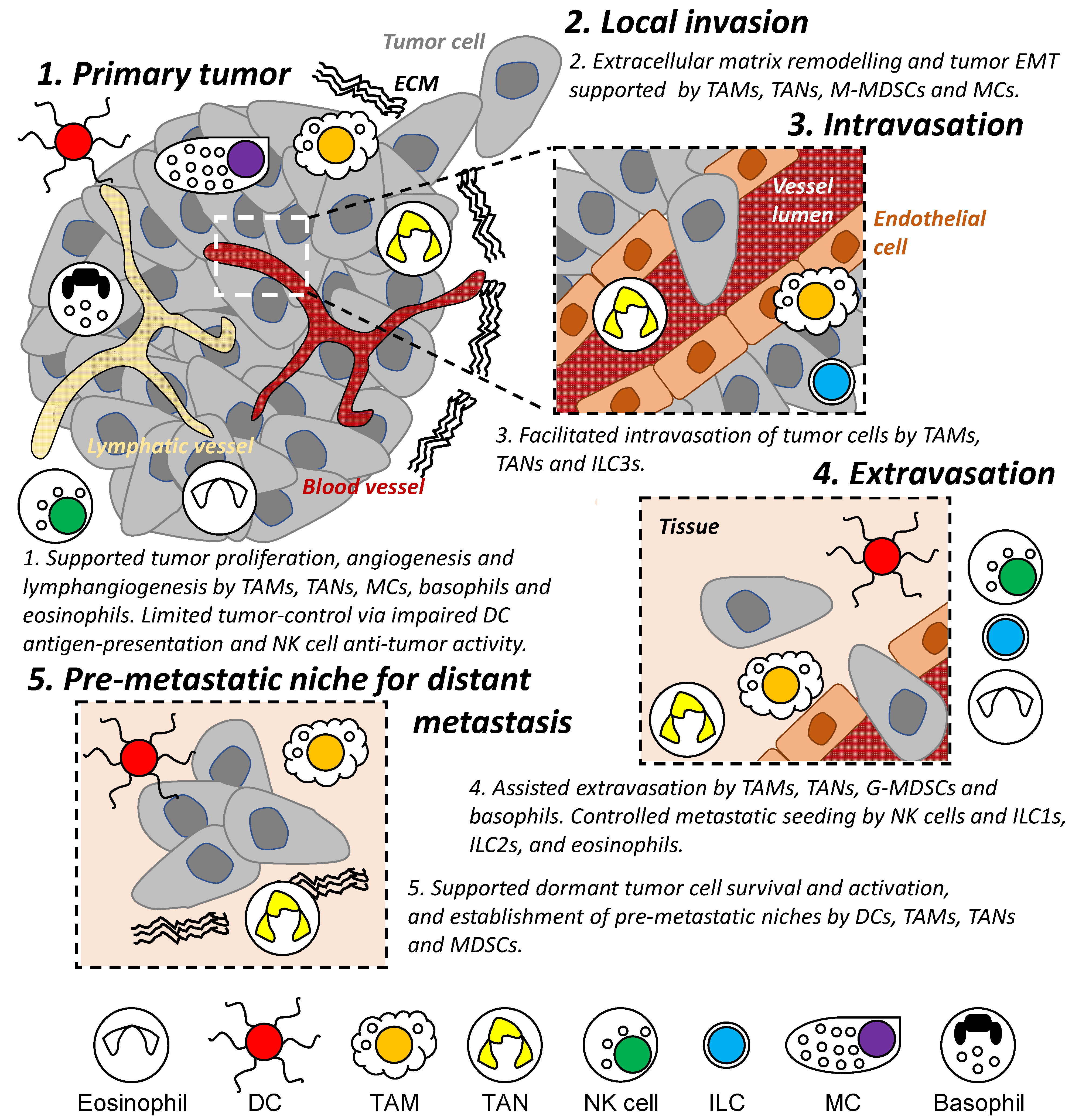Cancers 13 05885 g002