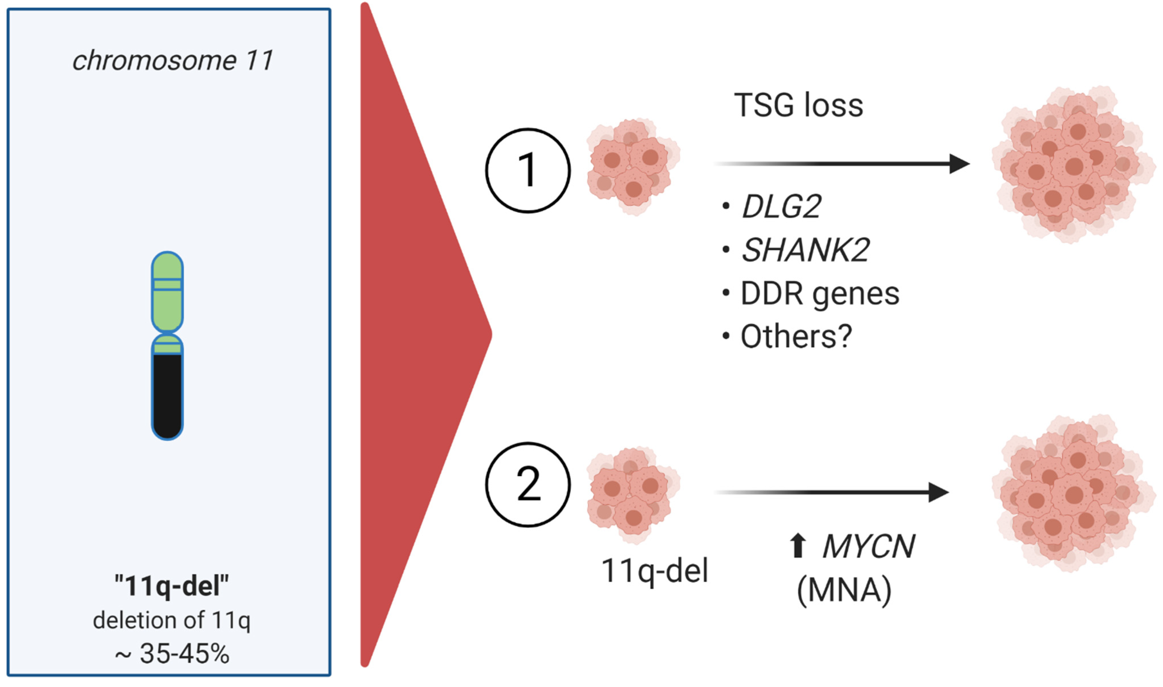 Cancers 13 05897 g004