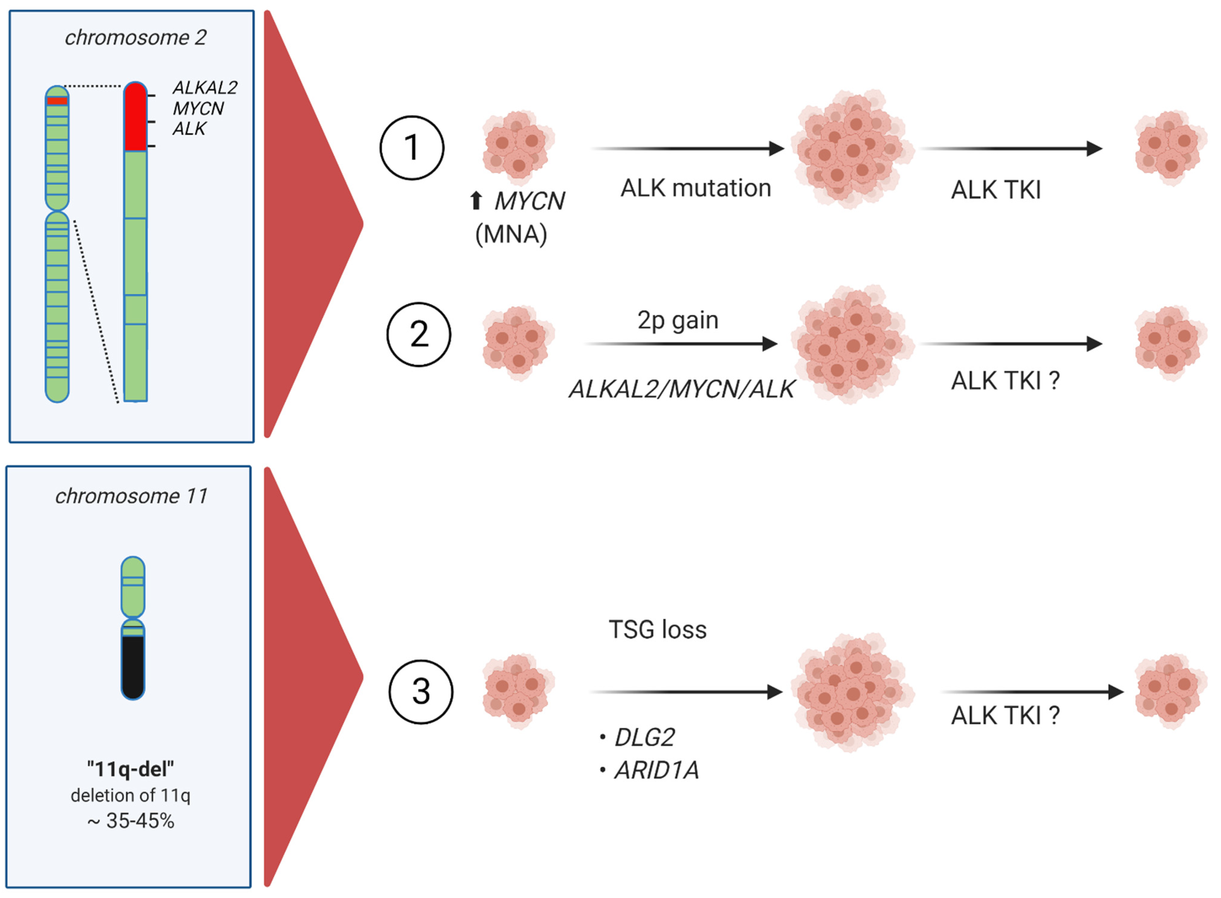 Cancers 13 05897 g005