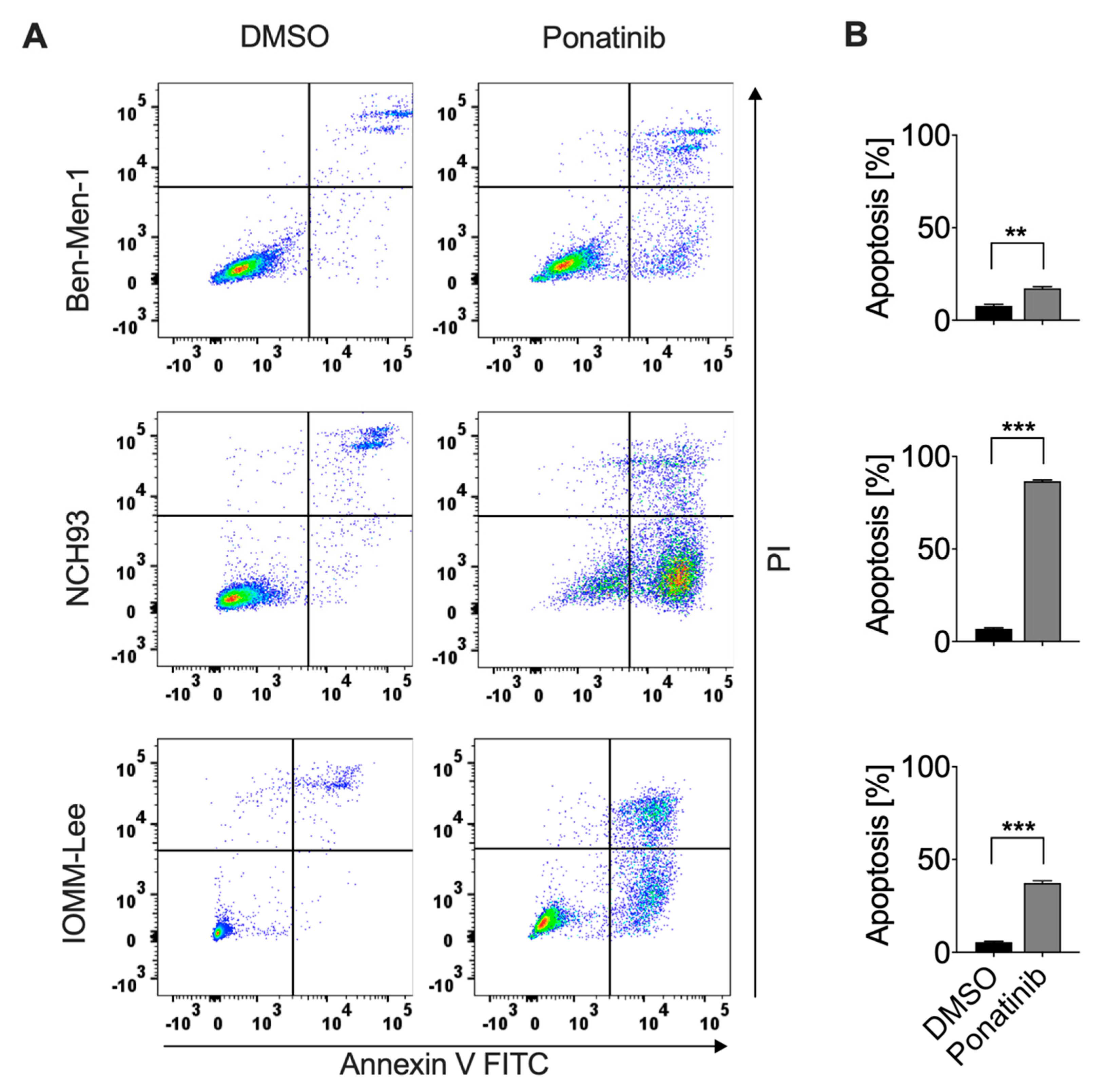 Cancers 13 05898 g003
