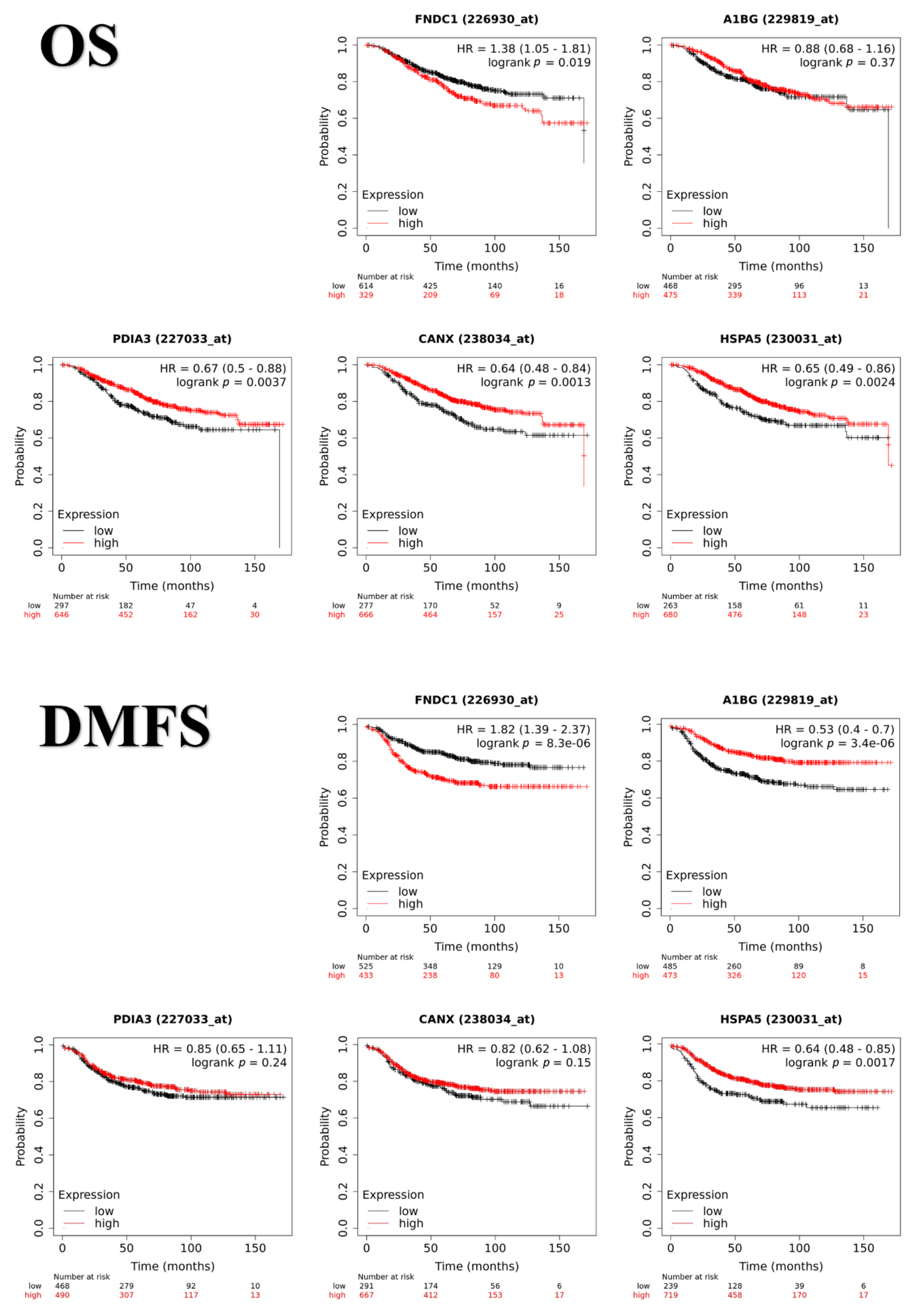 Cancers 13 05901 g004