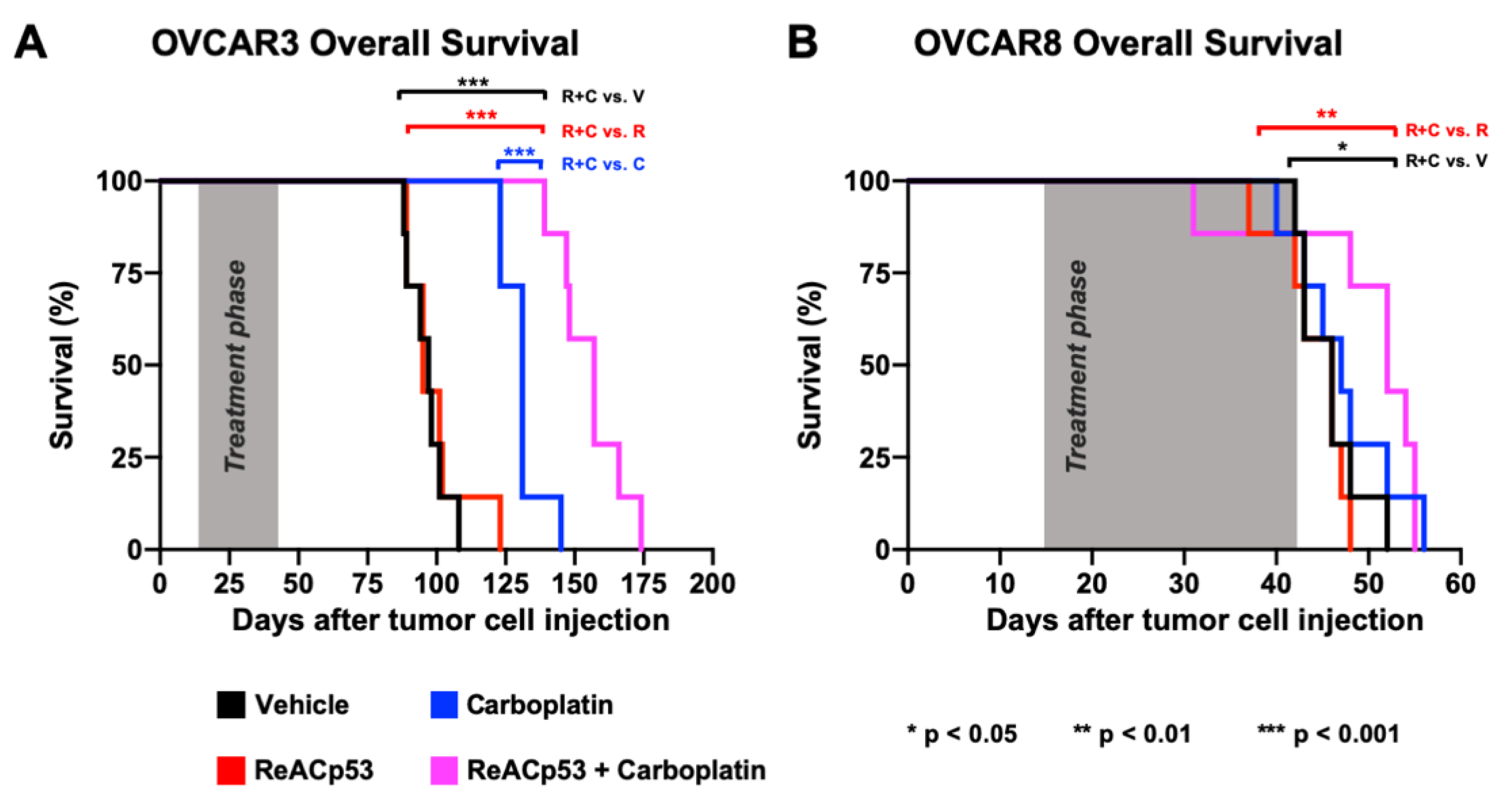 Cancers 13 05908 g004