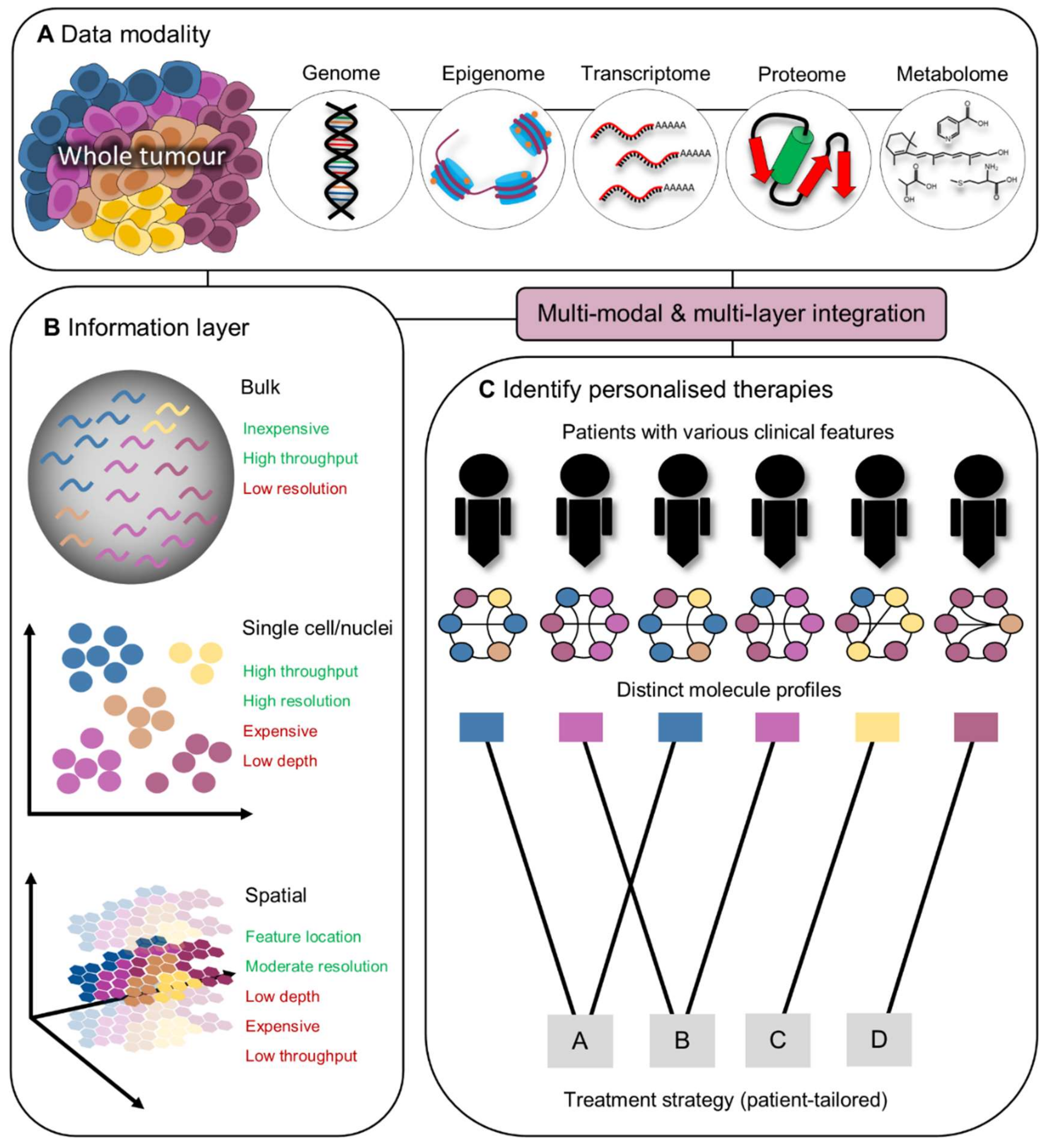 Cancers 13 05911 g001