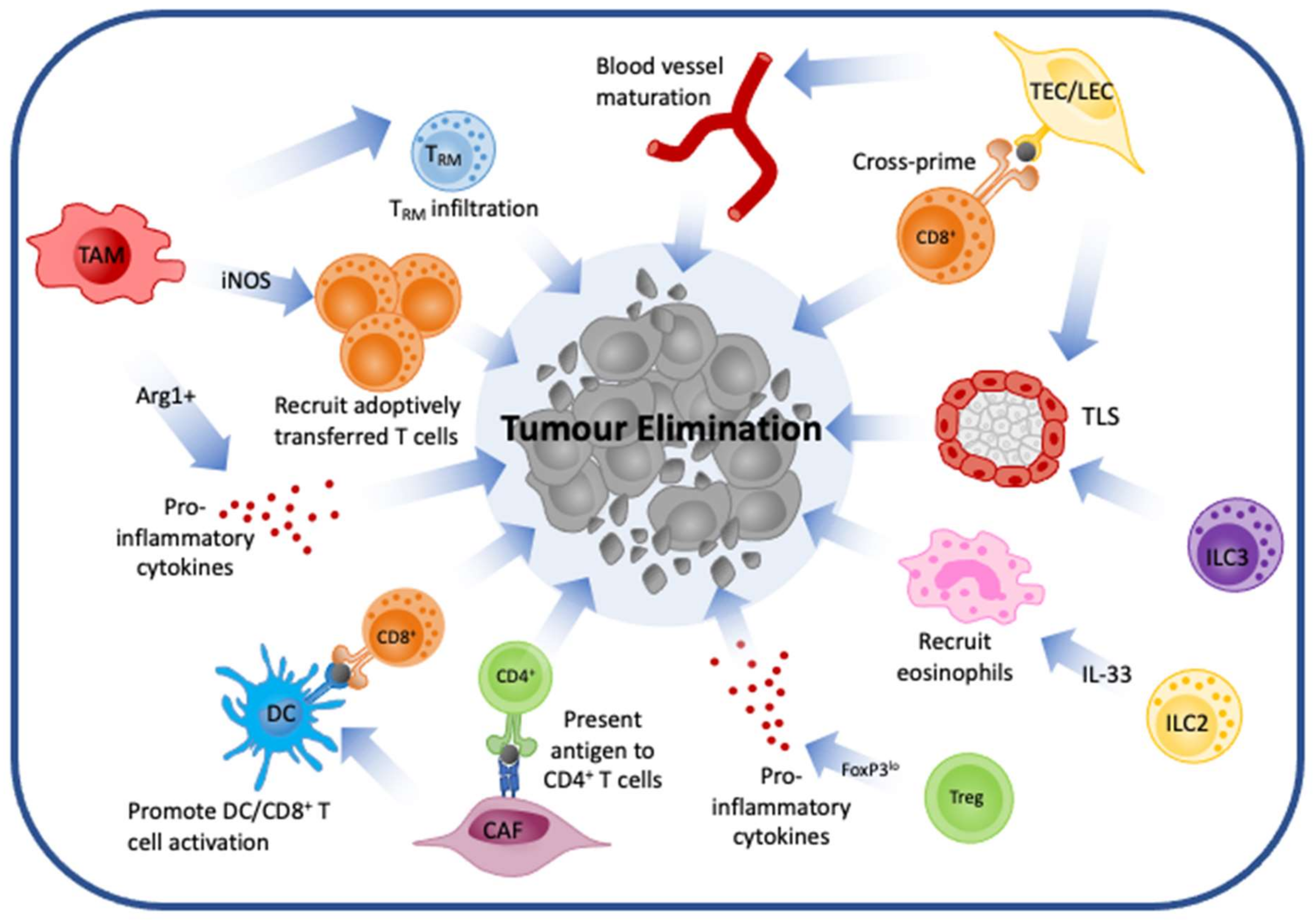 Cancers 13 05911 g002