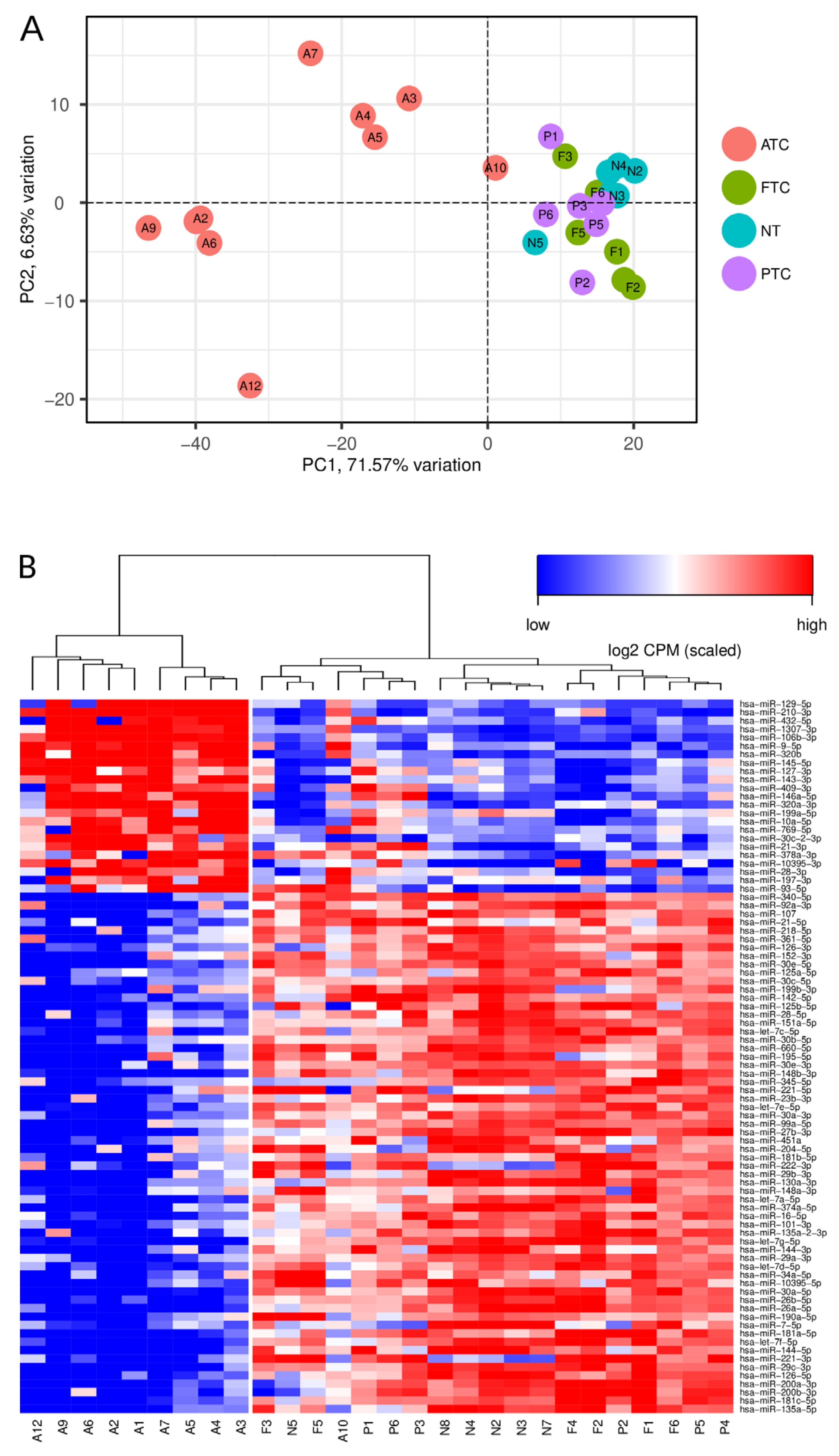 Cancers 13 05913 g001 Cancers 13 05913 g001