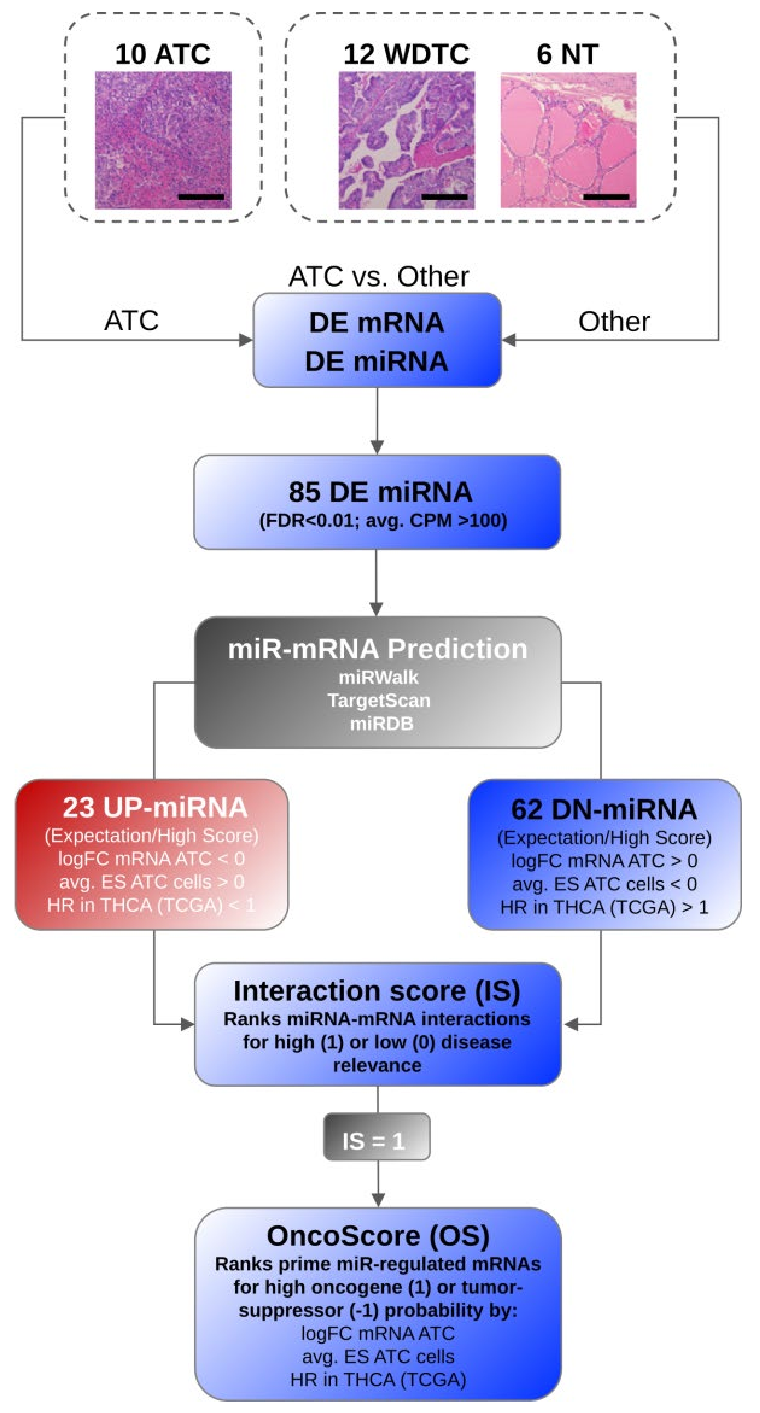 Cancers 13 05913 g002 Cancers 13 05913 g002