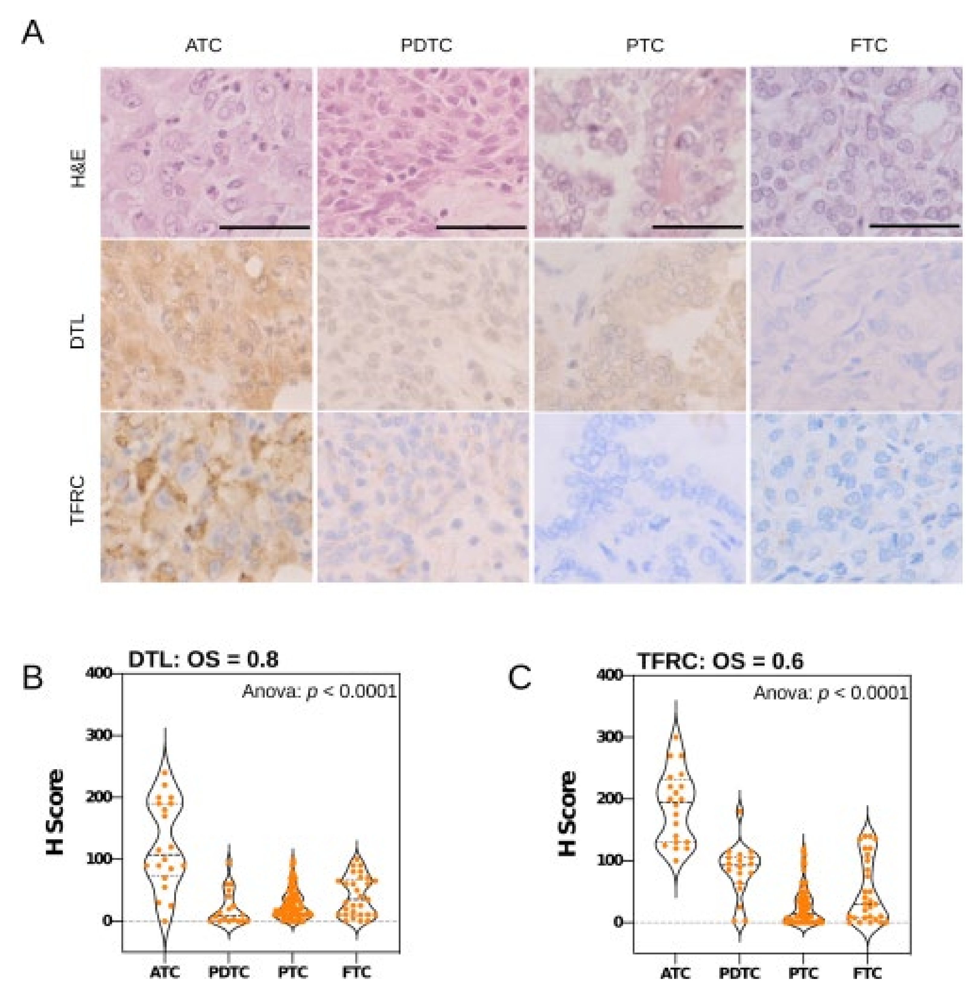 Cancers 13 05913 g005 Cancers 13 05913 g005