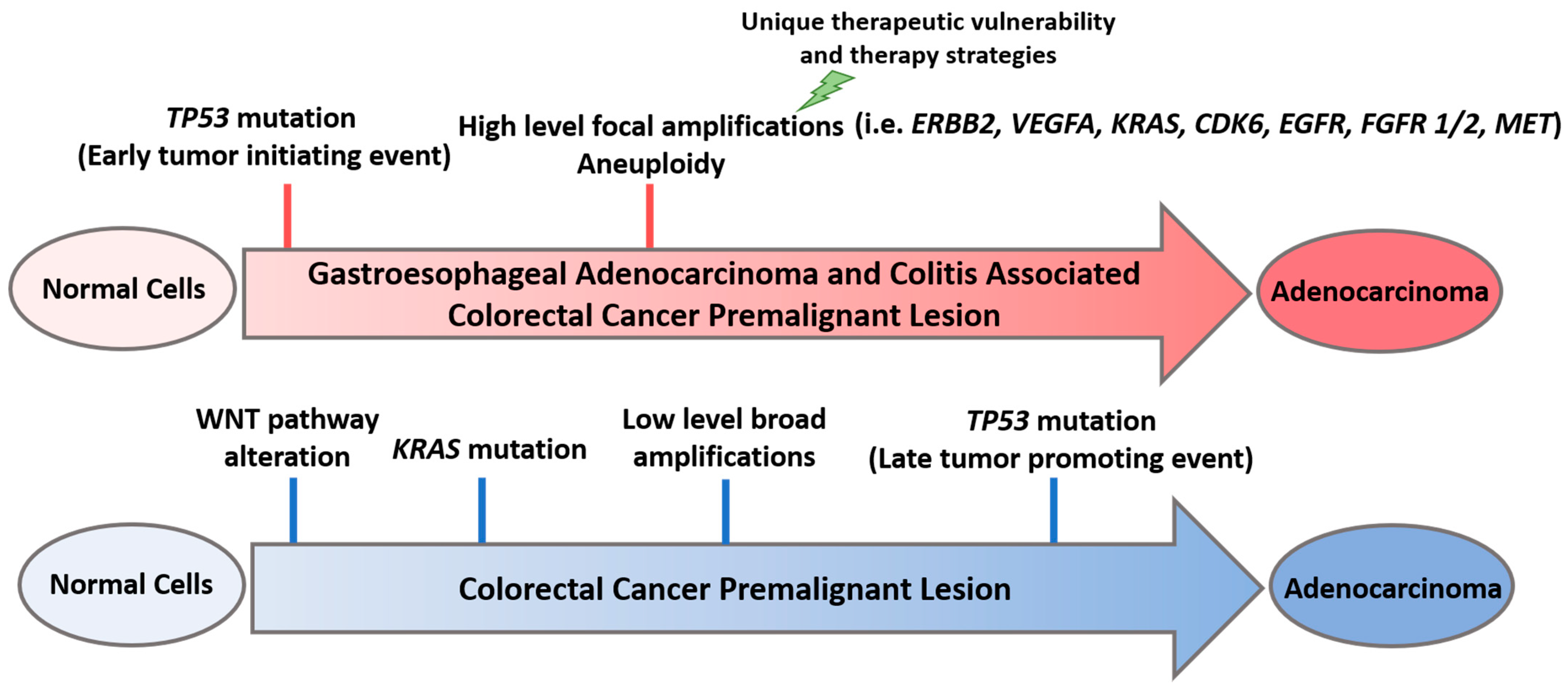 Cancers 13 05915 g001