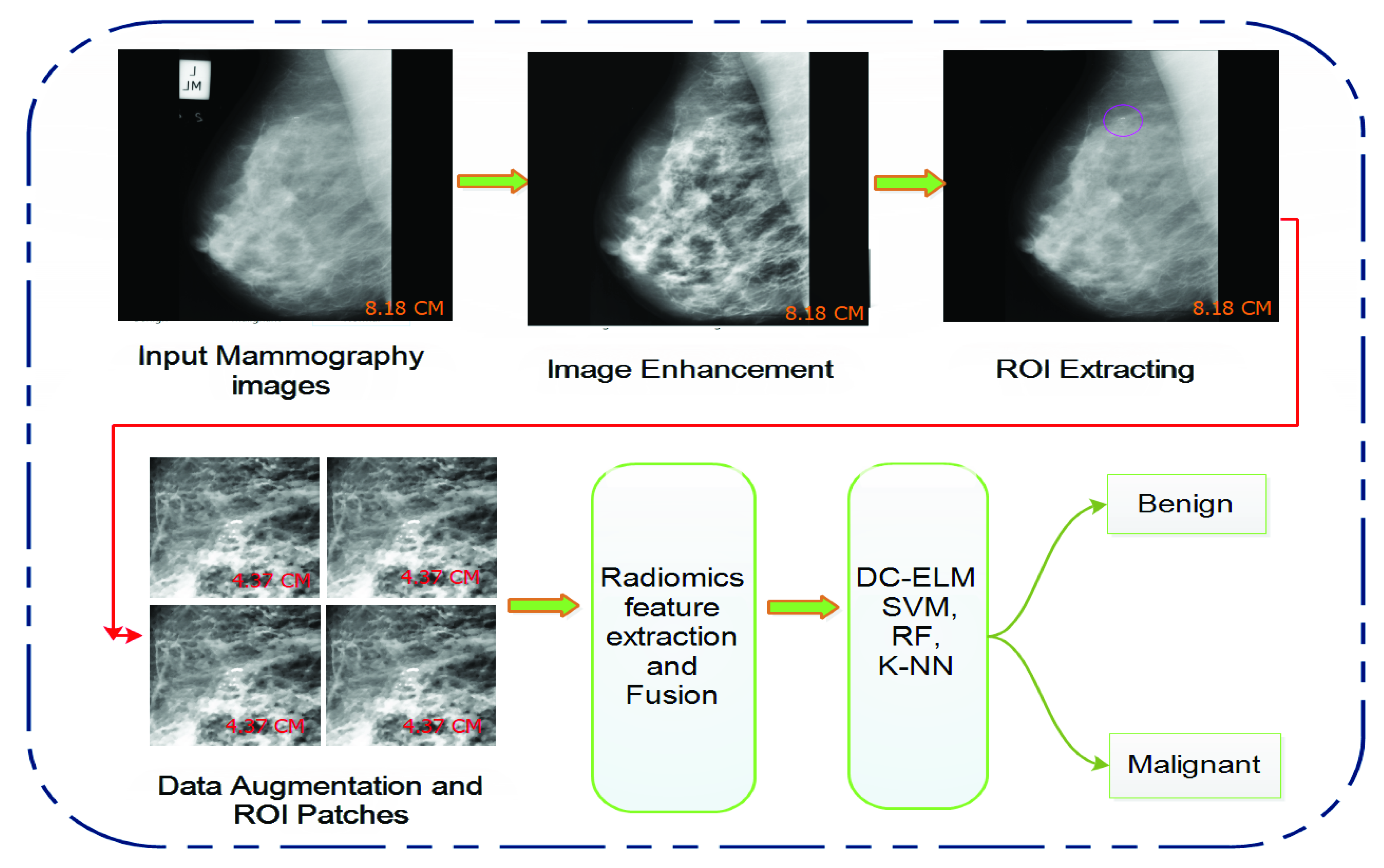 Cancers 13 05916 g001