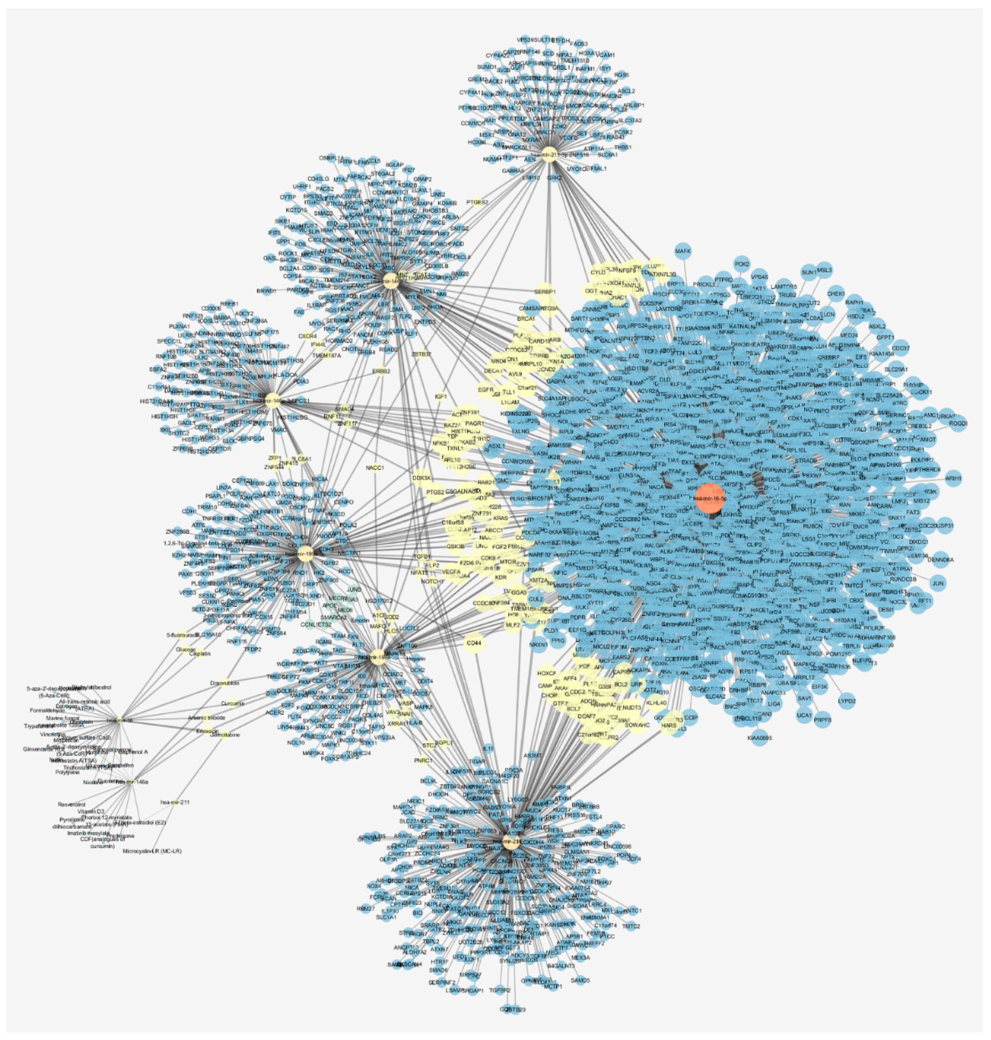 Cancers 13 05919 g001