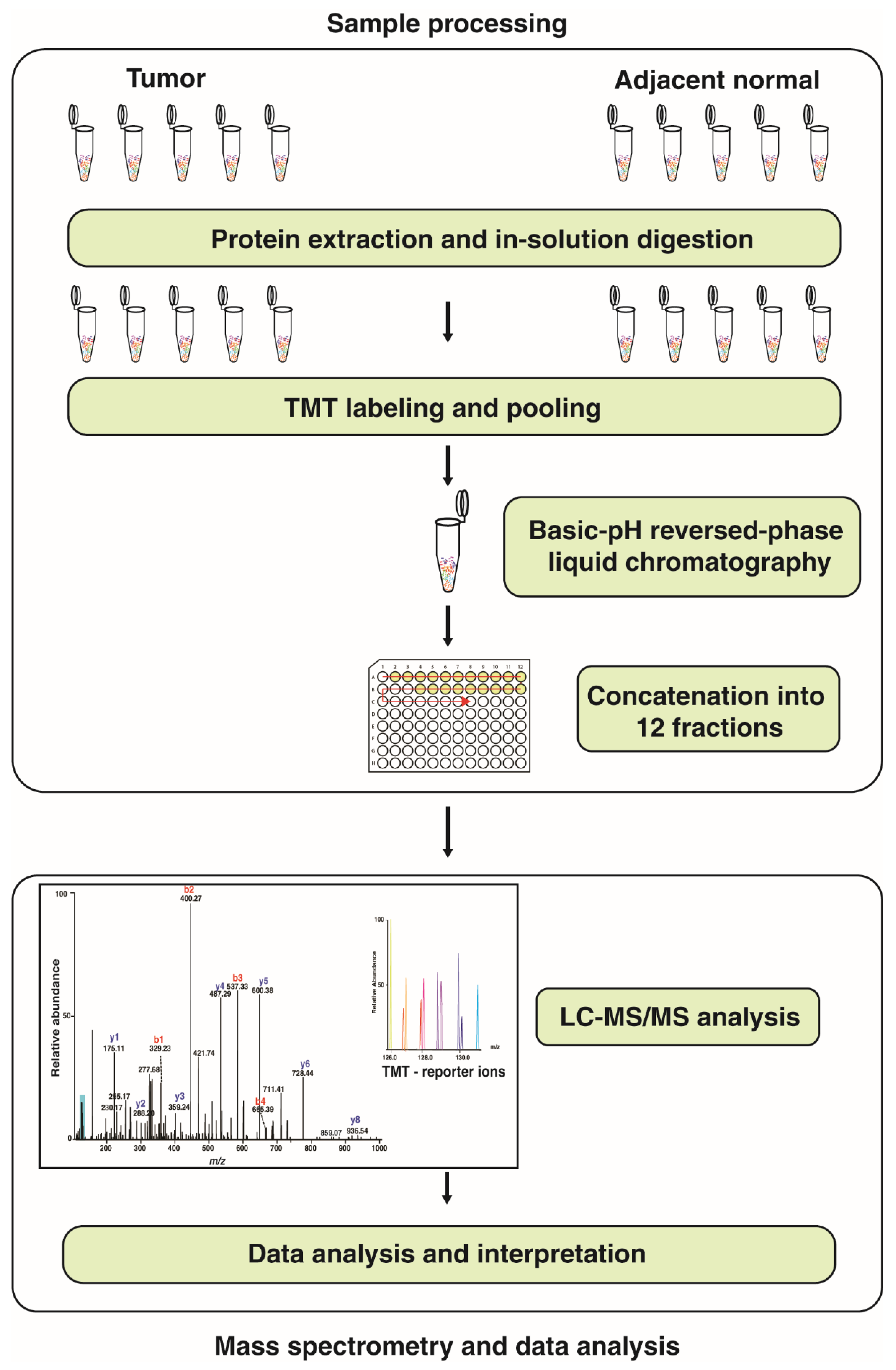 Cancers 13 05930 g001