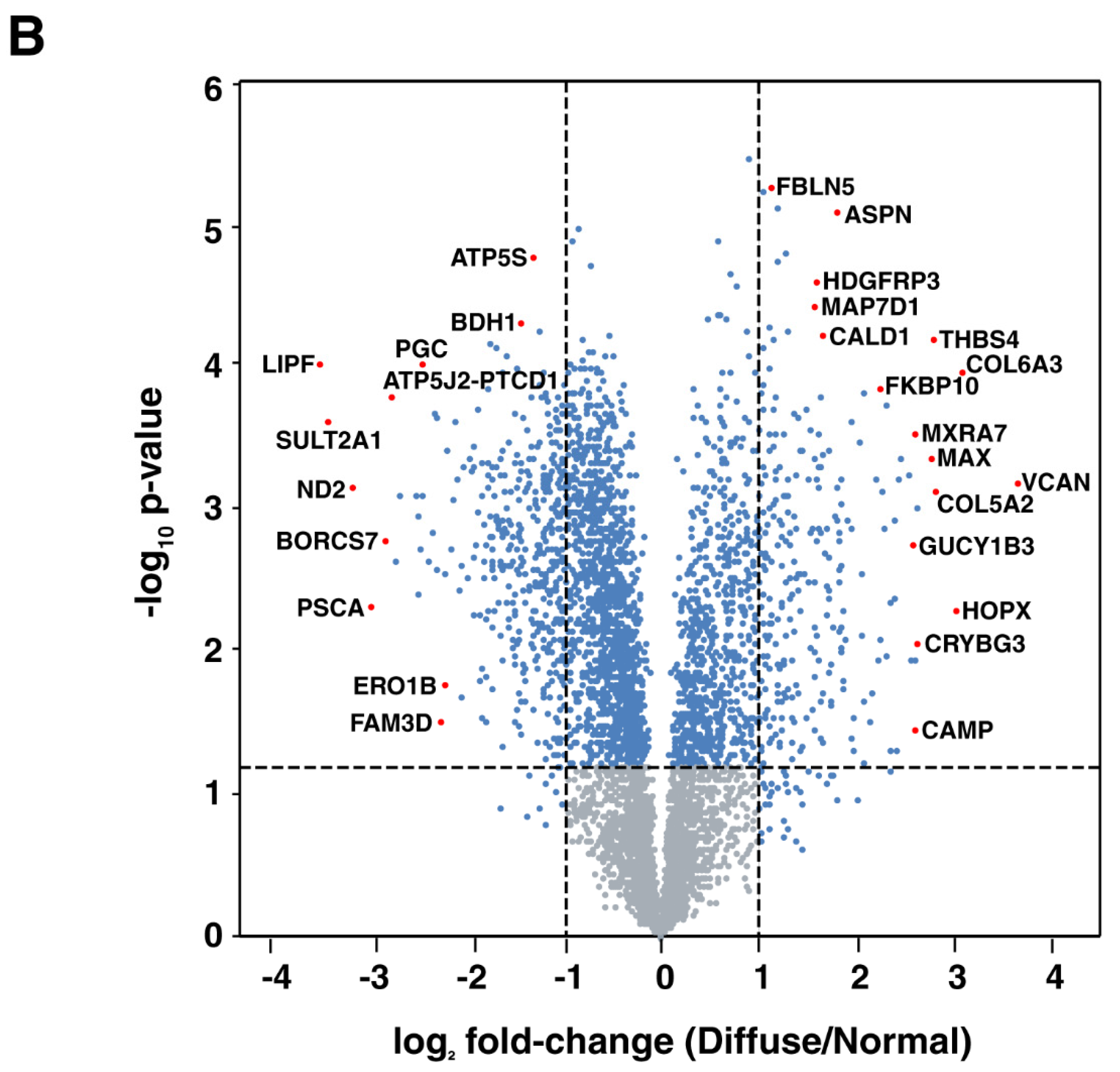 Cancers 13 05930 g002b