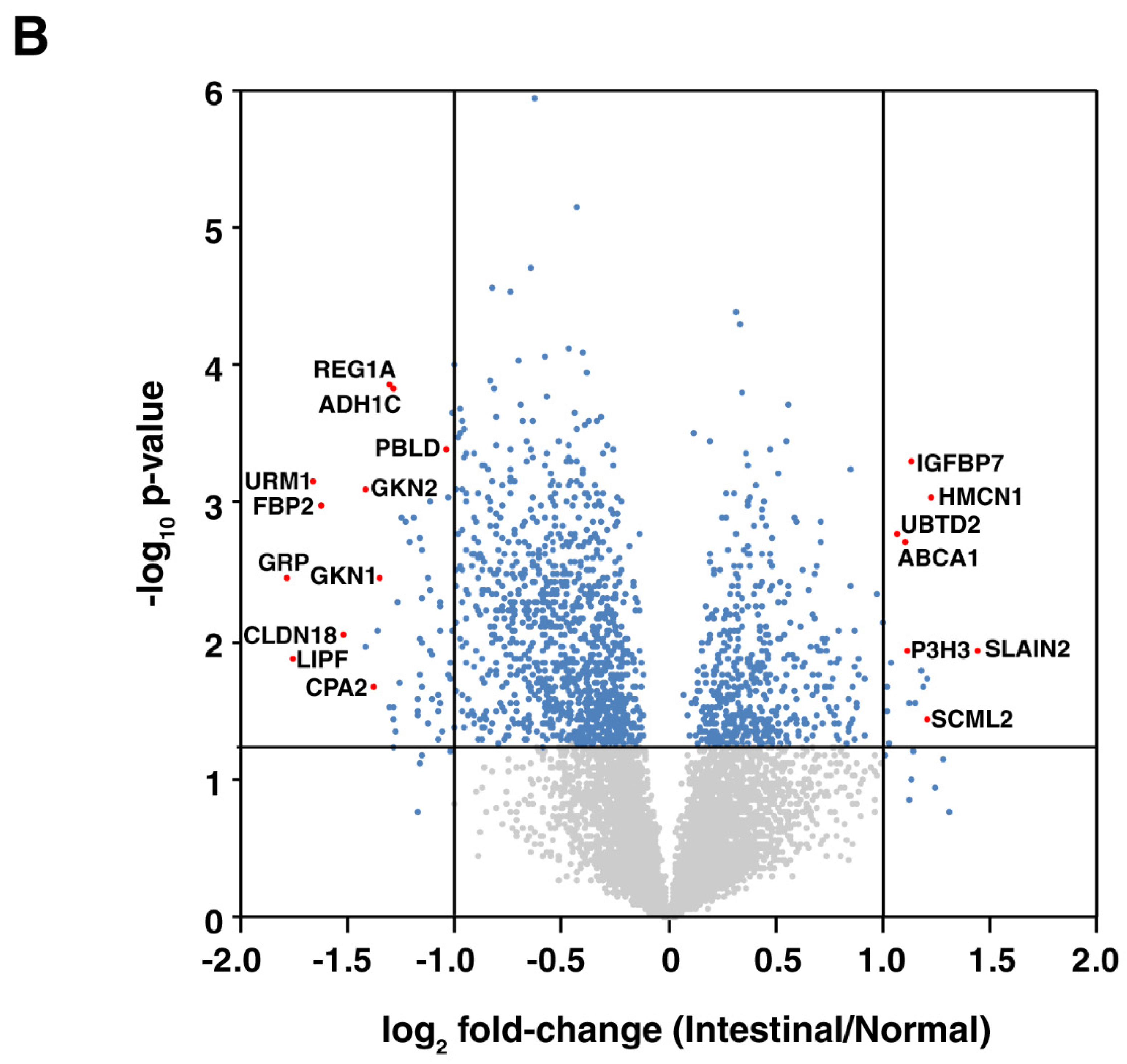 Cancers 13 05930 g003b