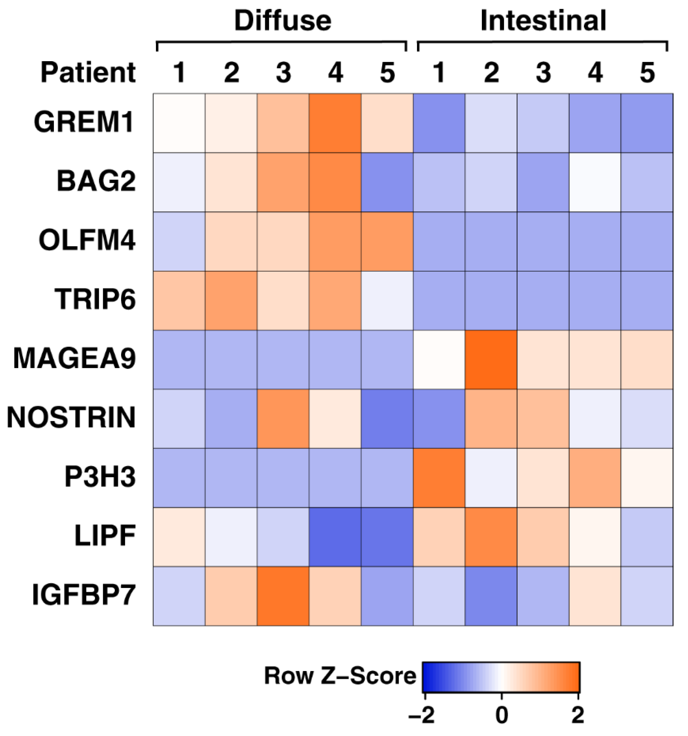 Cancers 13 05930 g005